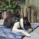 Adventure blankets -20%