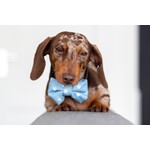 bowties