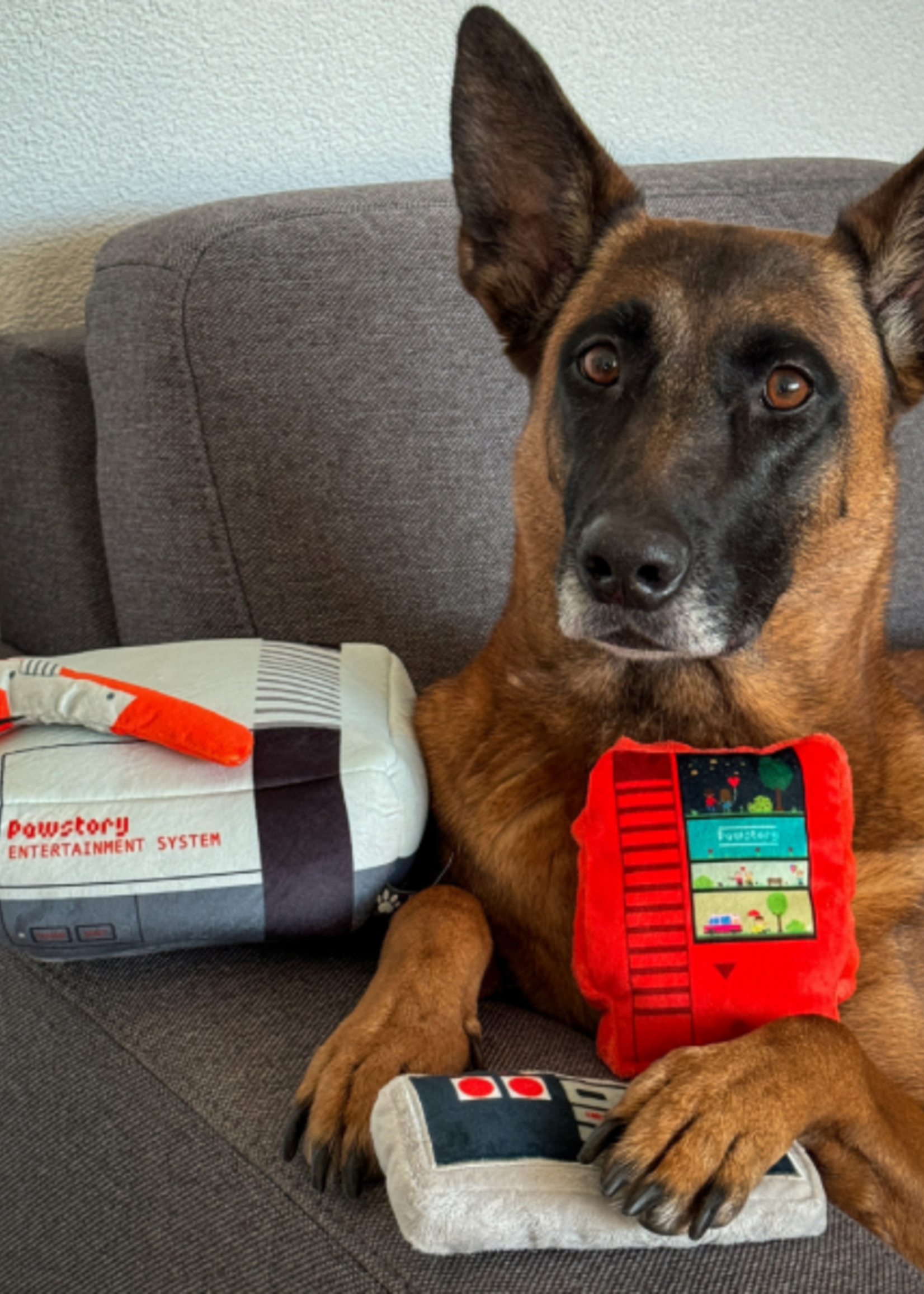 Pawstory - Retro games