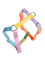 Rainbow harness