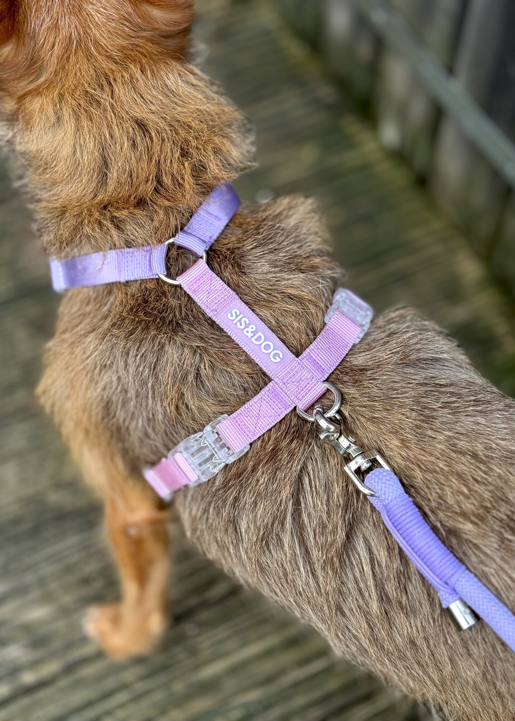 Pink/Lilac dog harness
