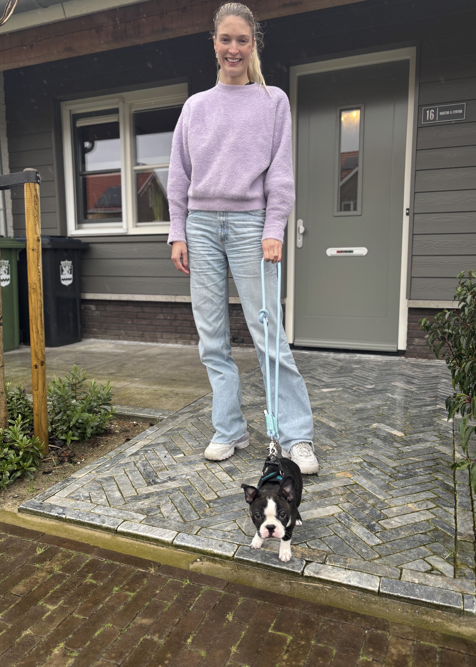 Lilac dog leash short