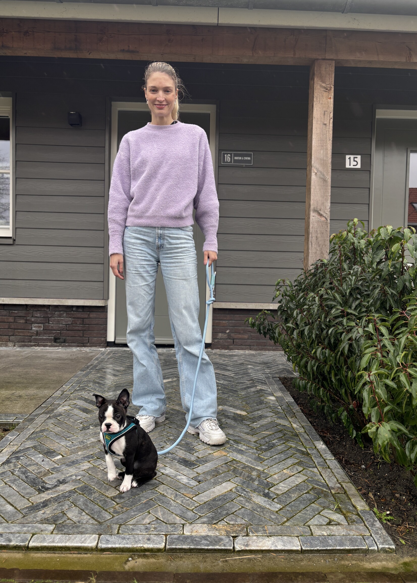 Roze honden riem kort