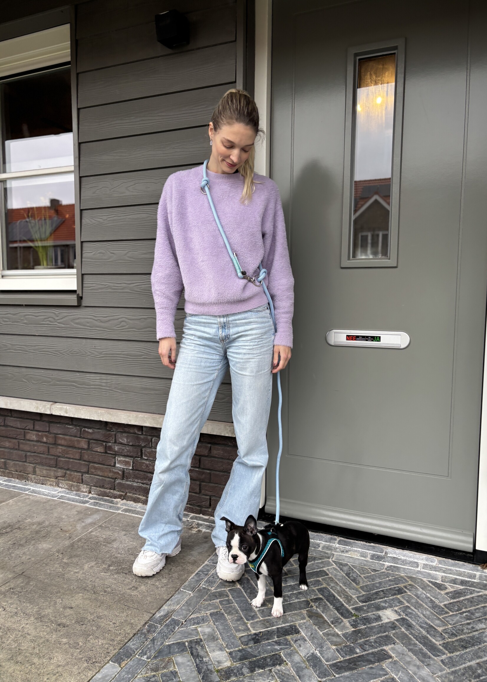 Baby blue dog leash handsfree