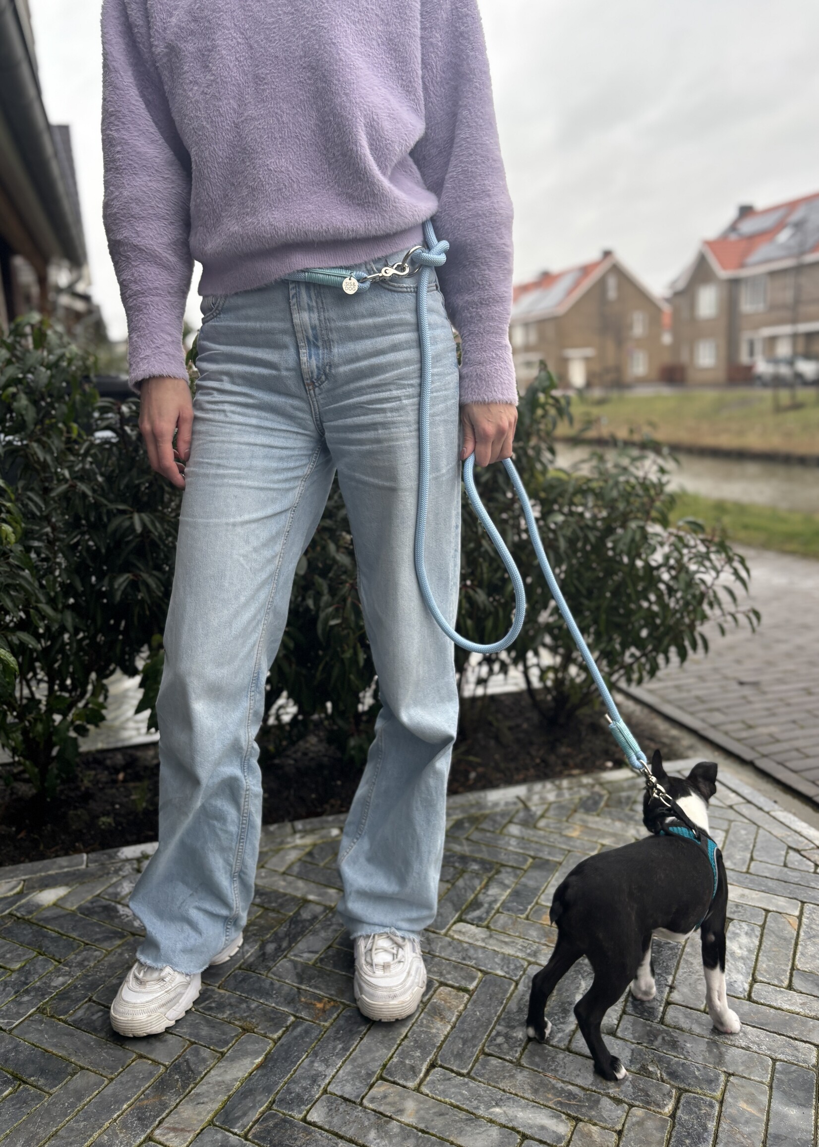 Baby blauwe honden riem handsfree
