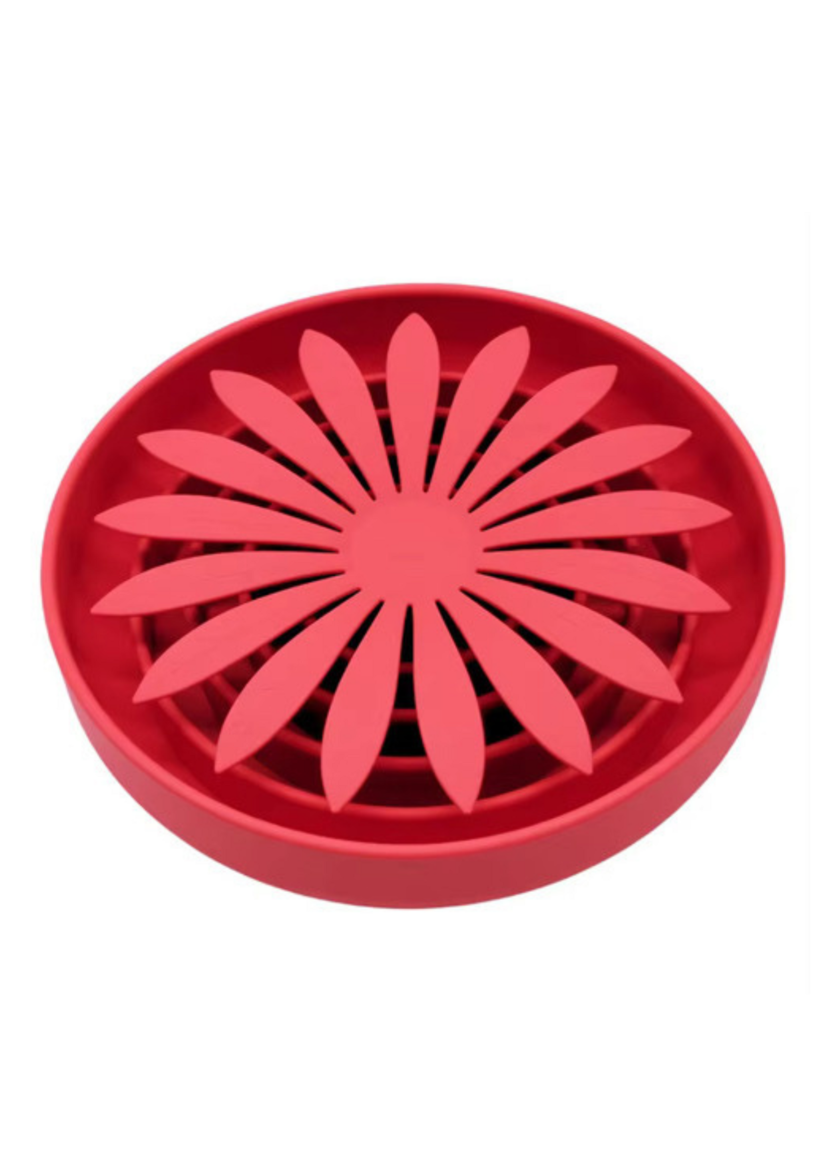 Daisy - 4 colors