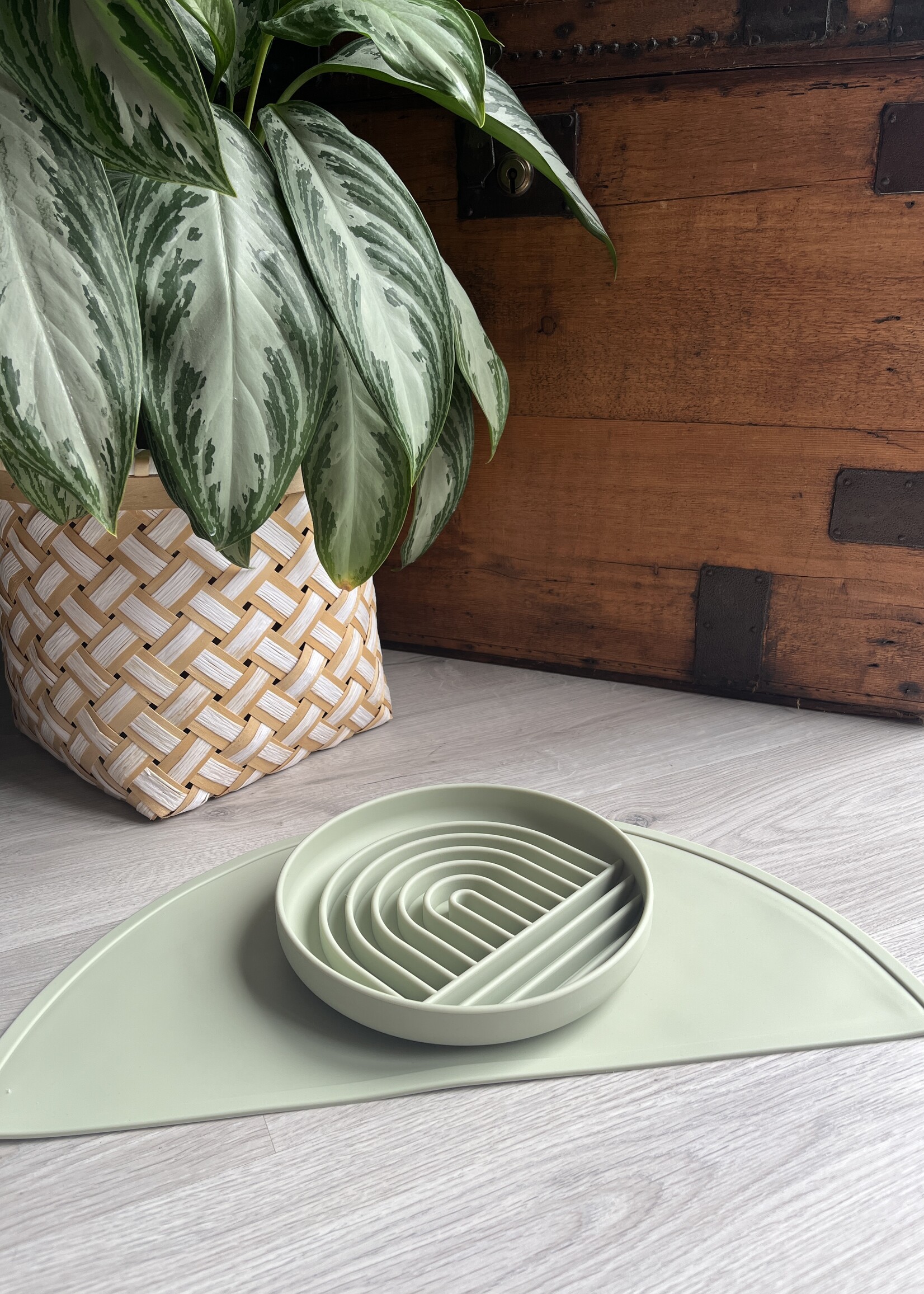 Placemat + Slowfeeder set