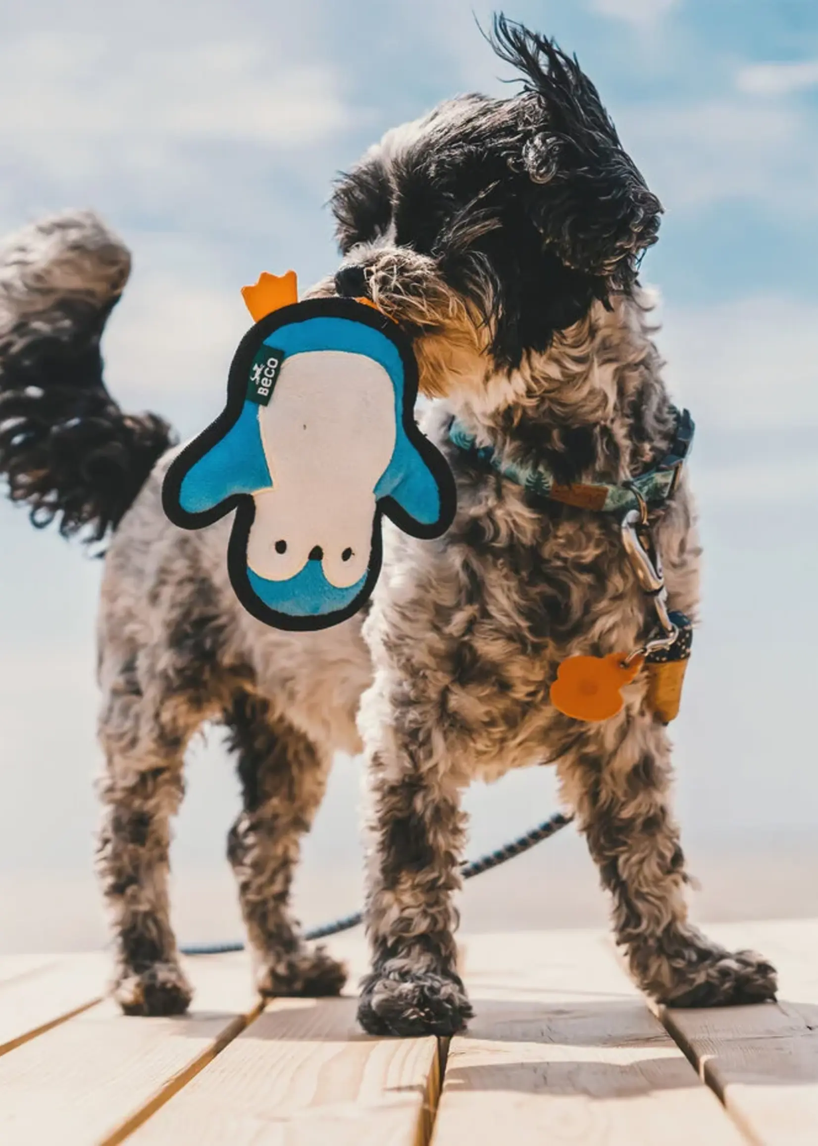 Beco dog toy Pinguin