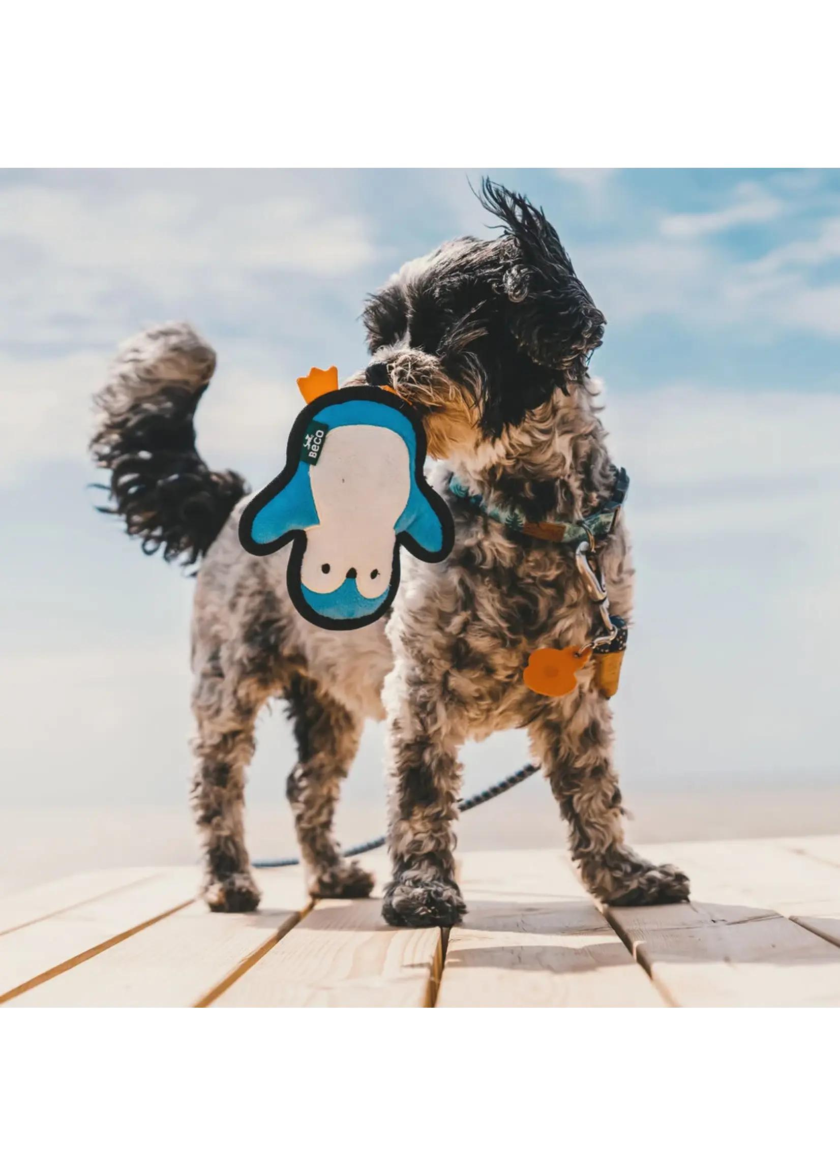 Beco dog toy Pinguin