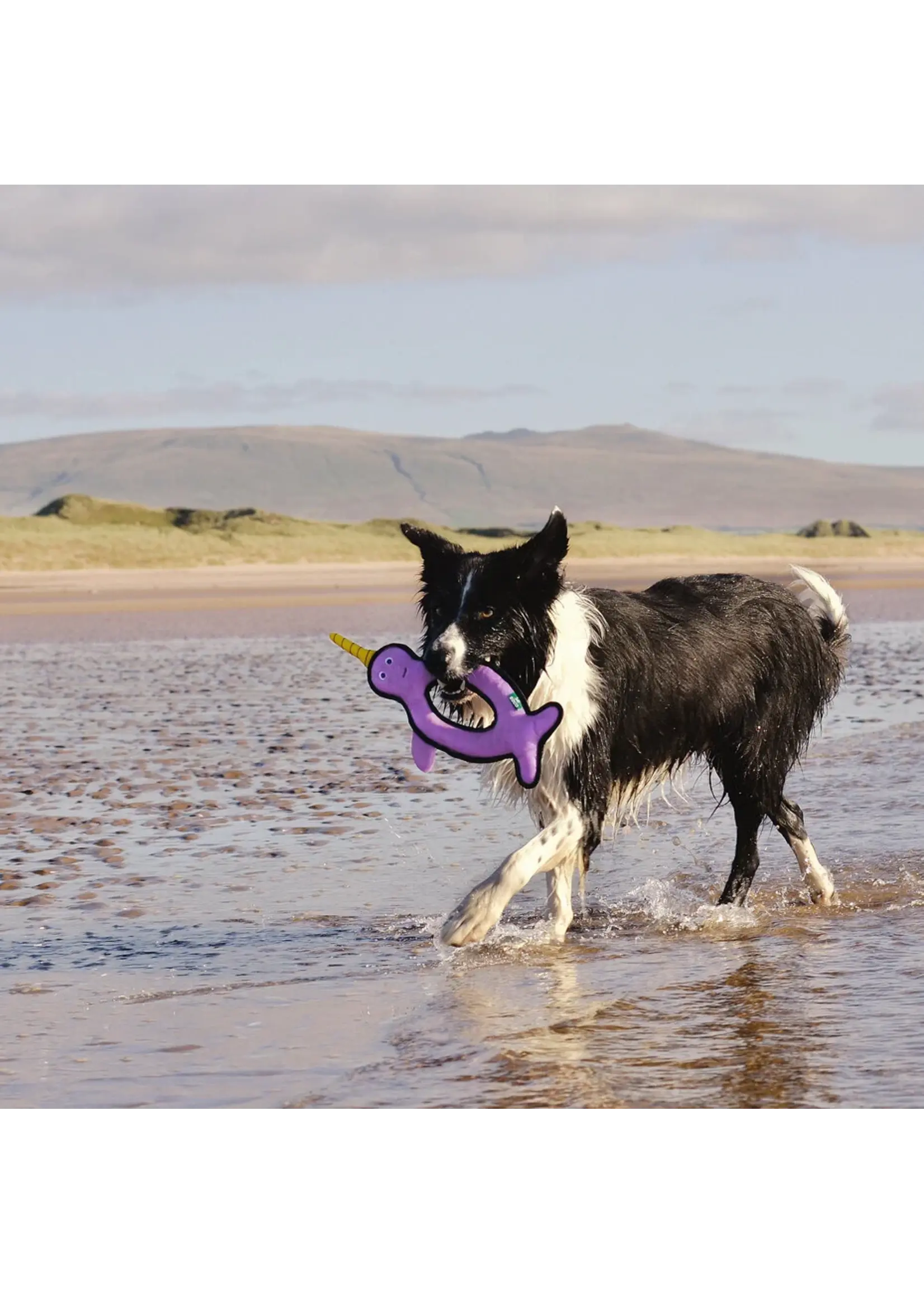 Beco dog toy Narwhal