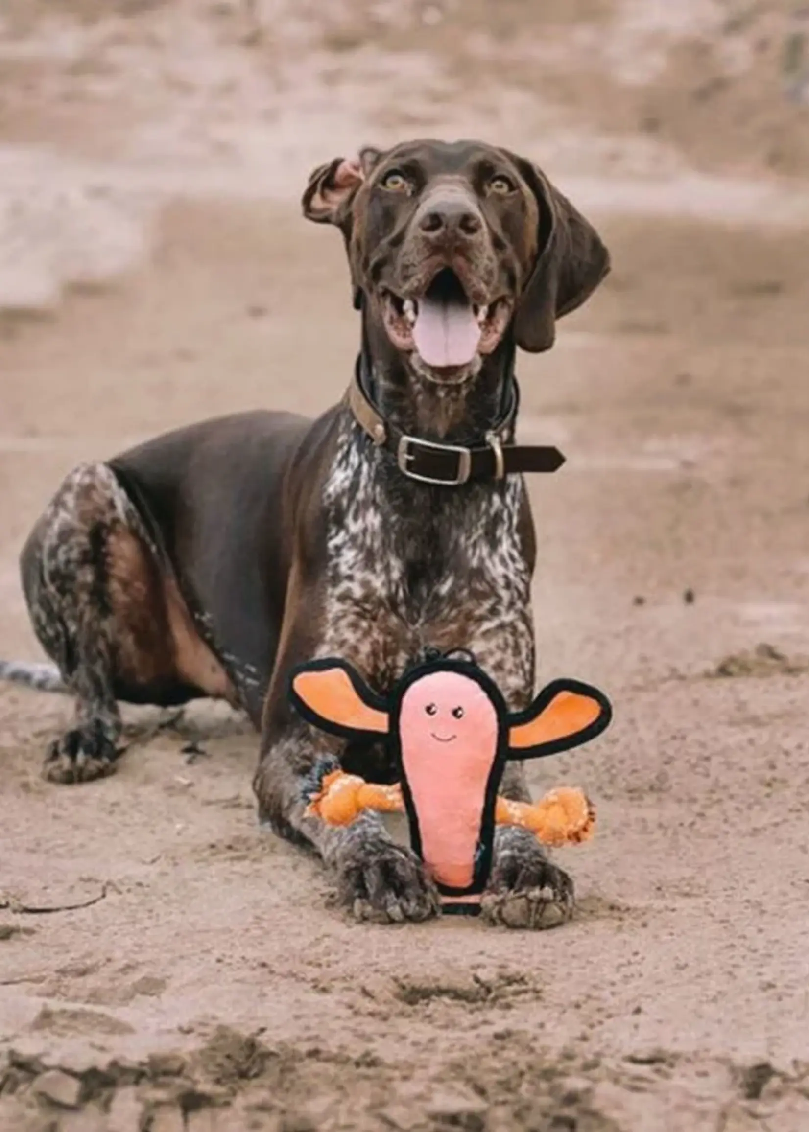 Beco dog toy Lobster