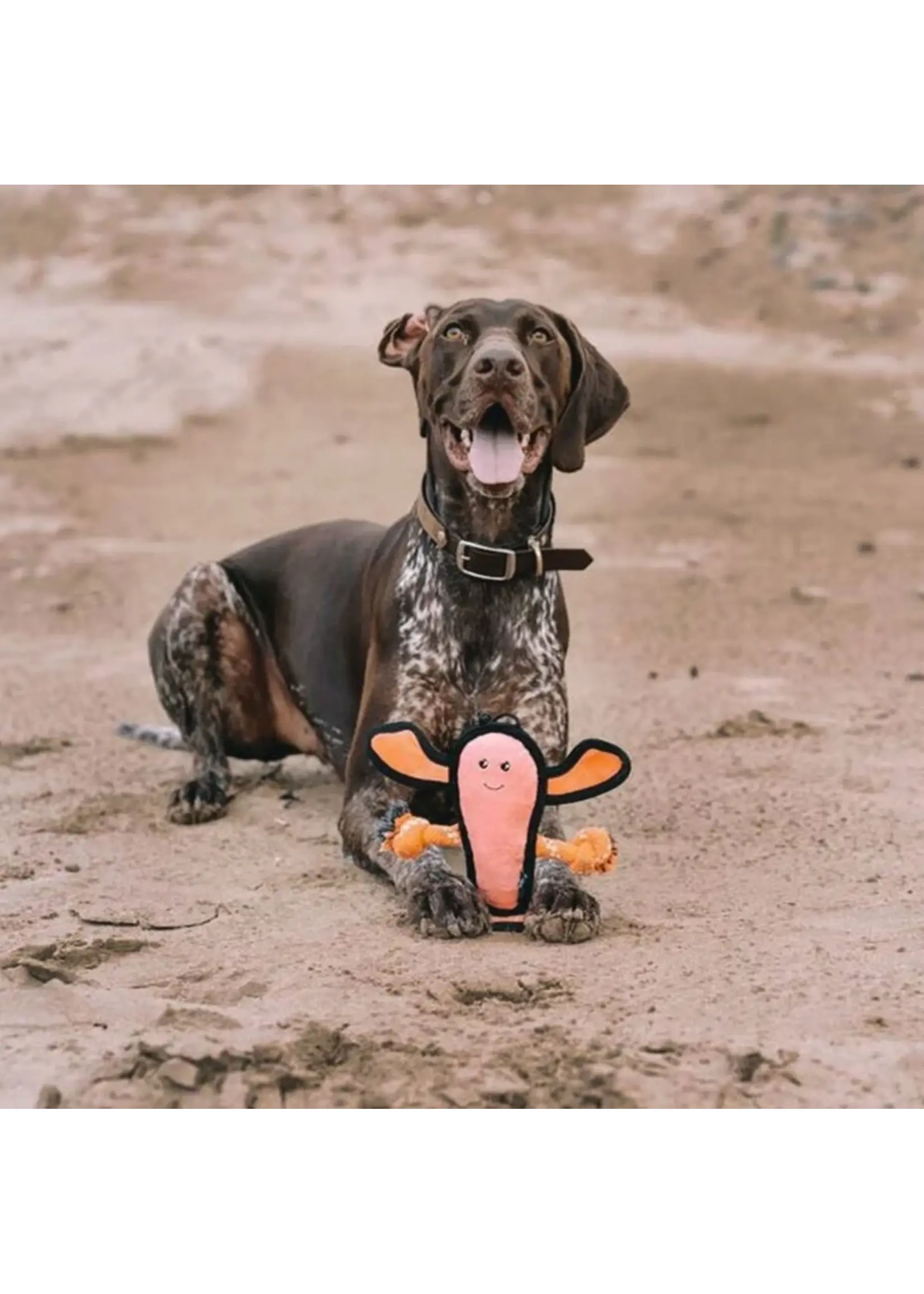 Beco dog toy Lobster