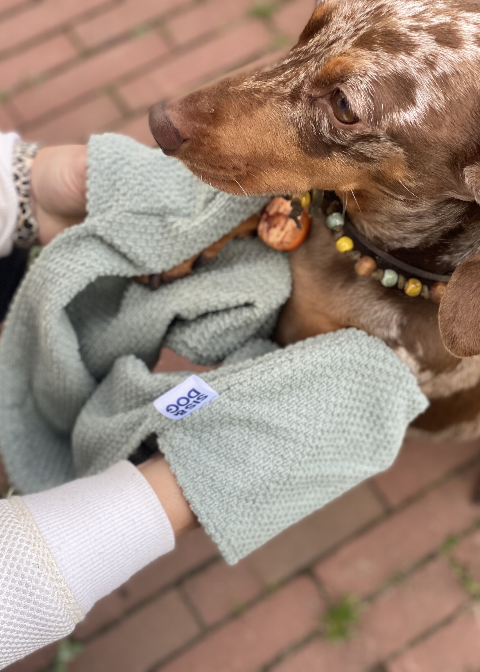 Honden handdoek mint