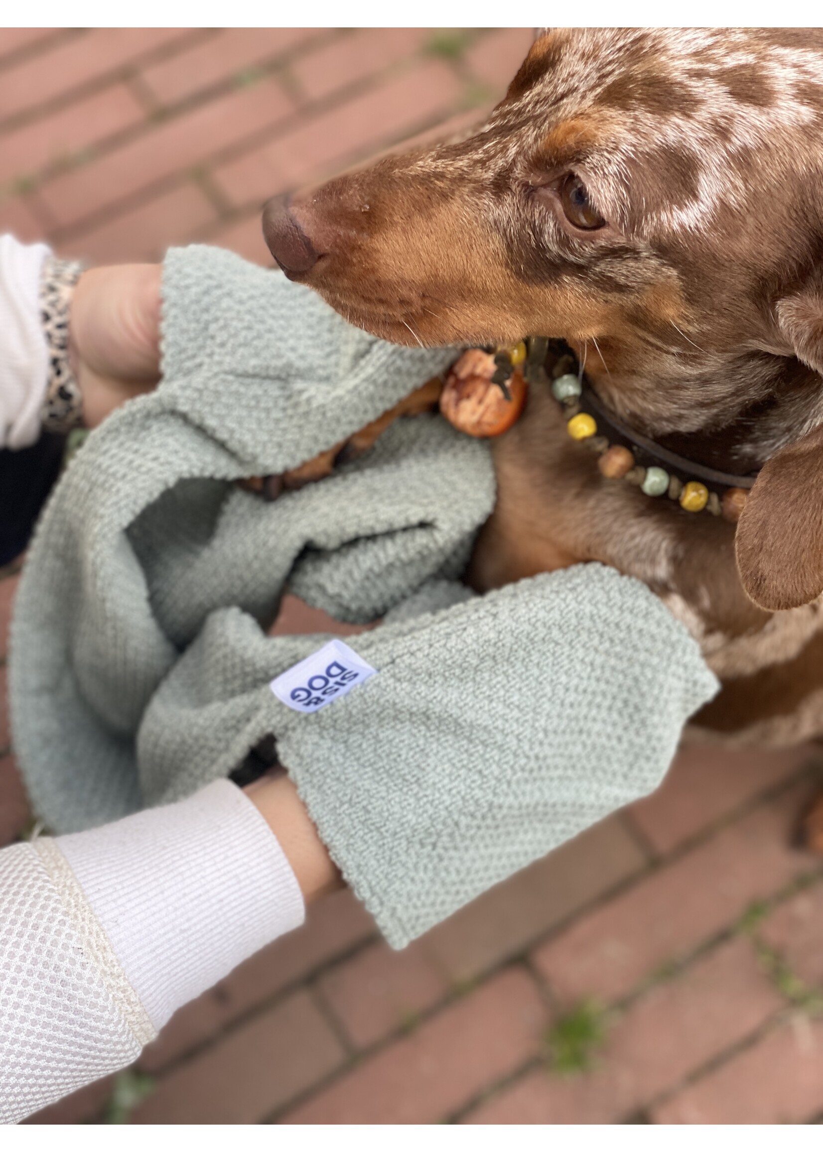 Dog towel mint