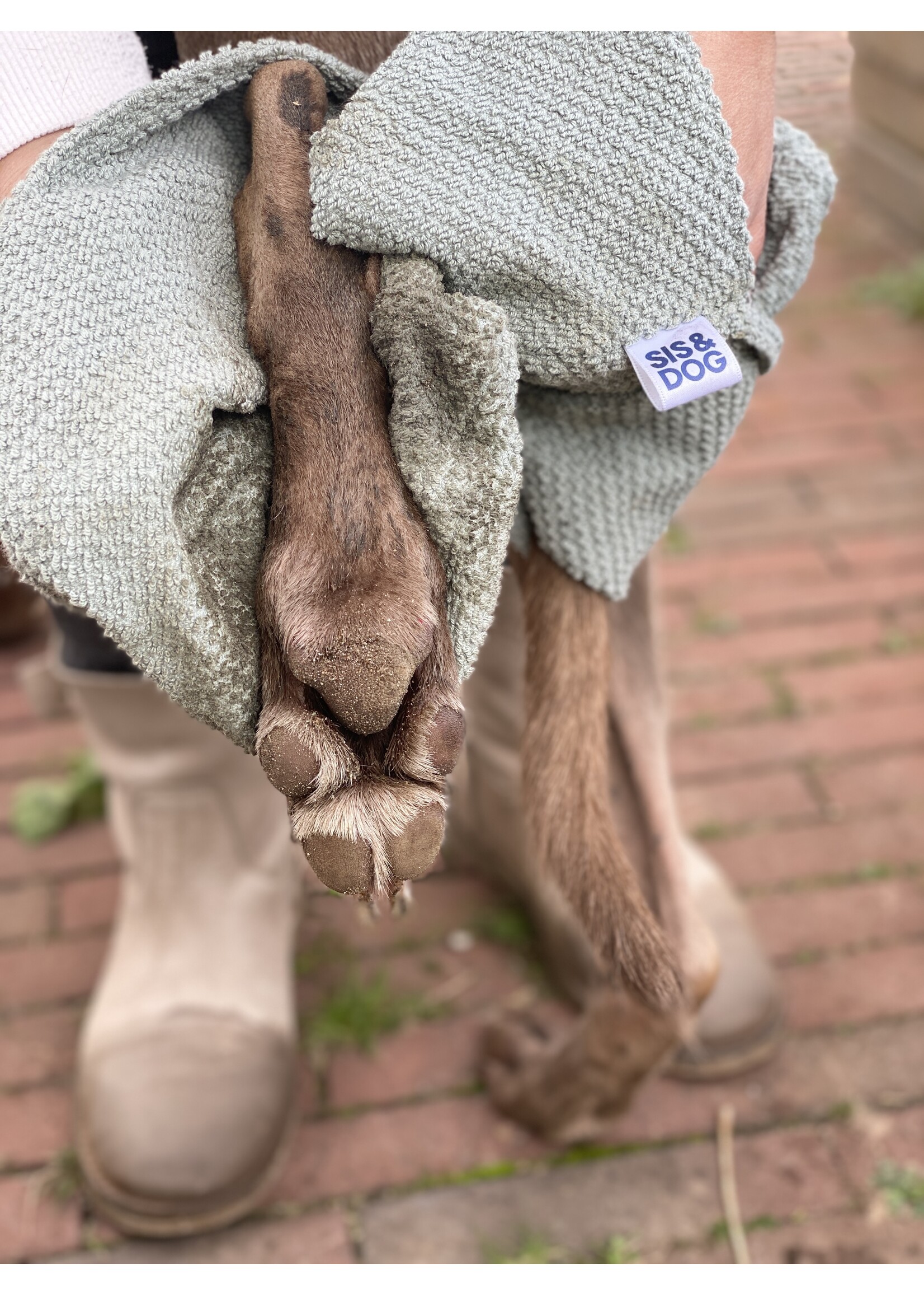 Dog towel mint