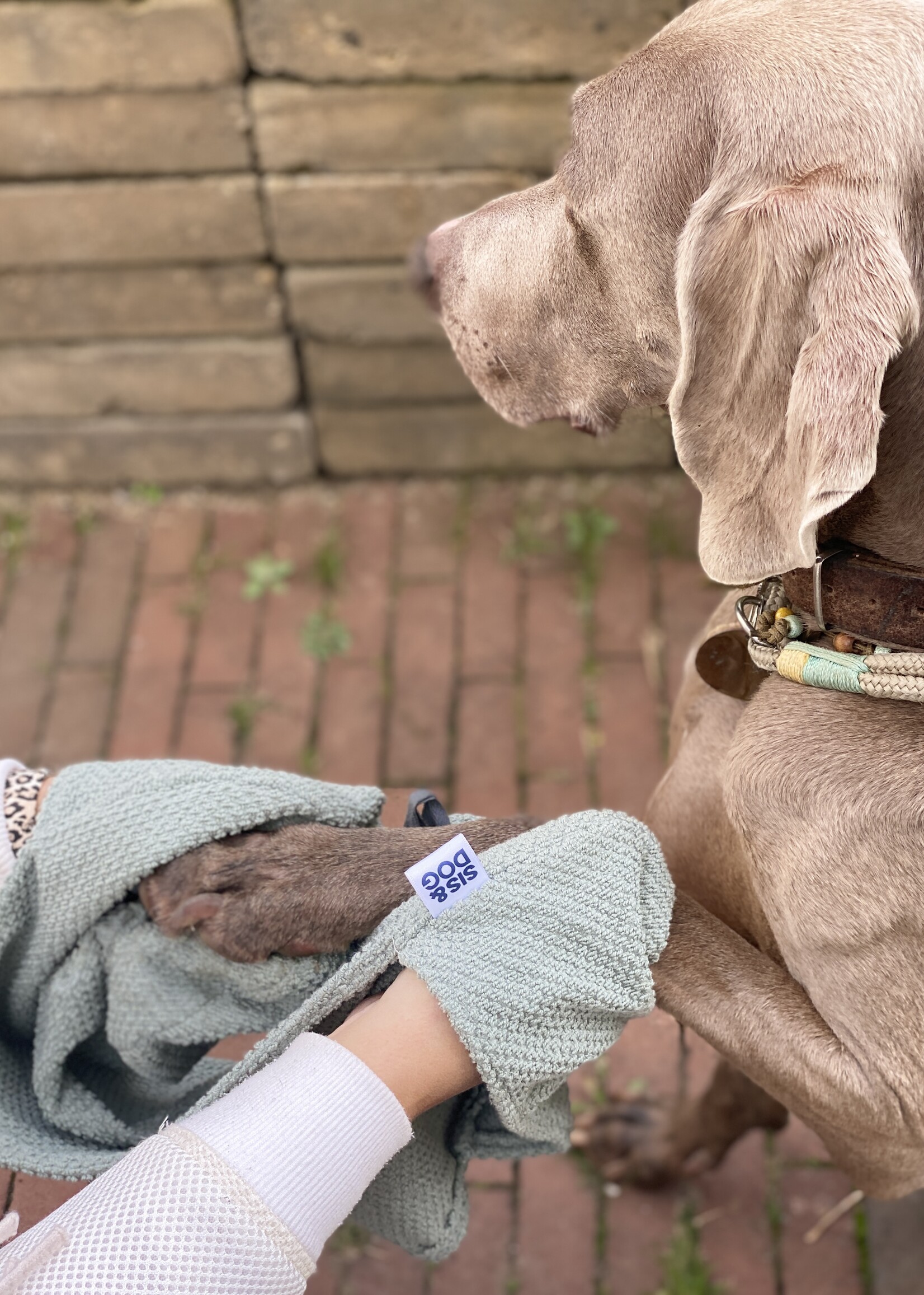 Honden handdoek mint