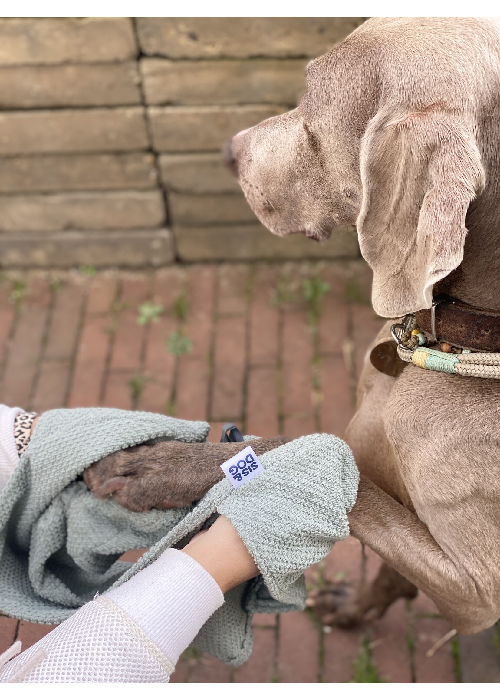 Honden handdoek mint