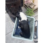 Bicycle basket blankets