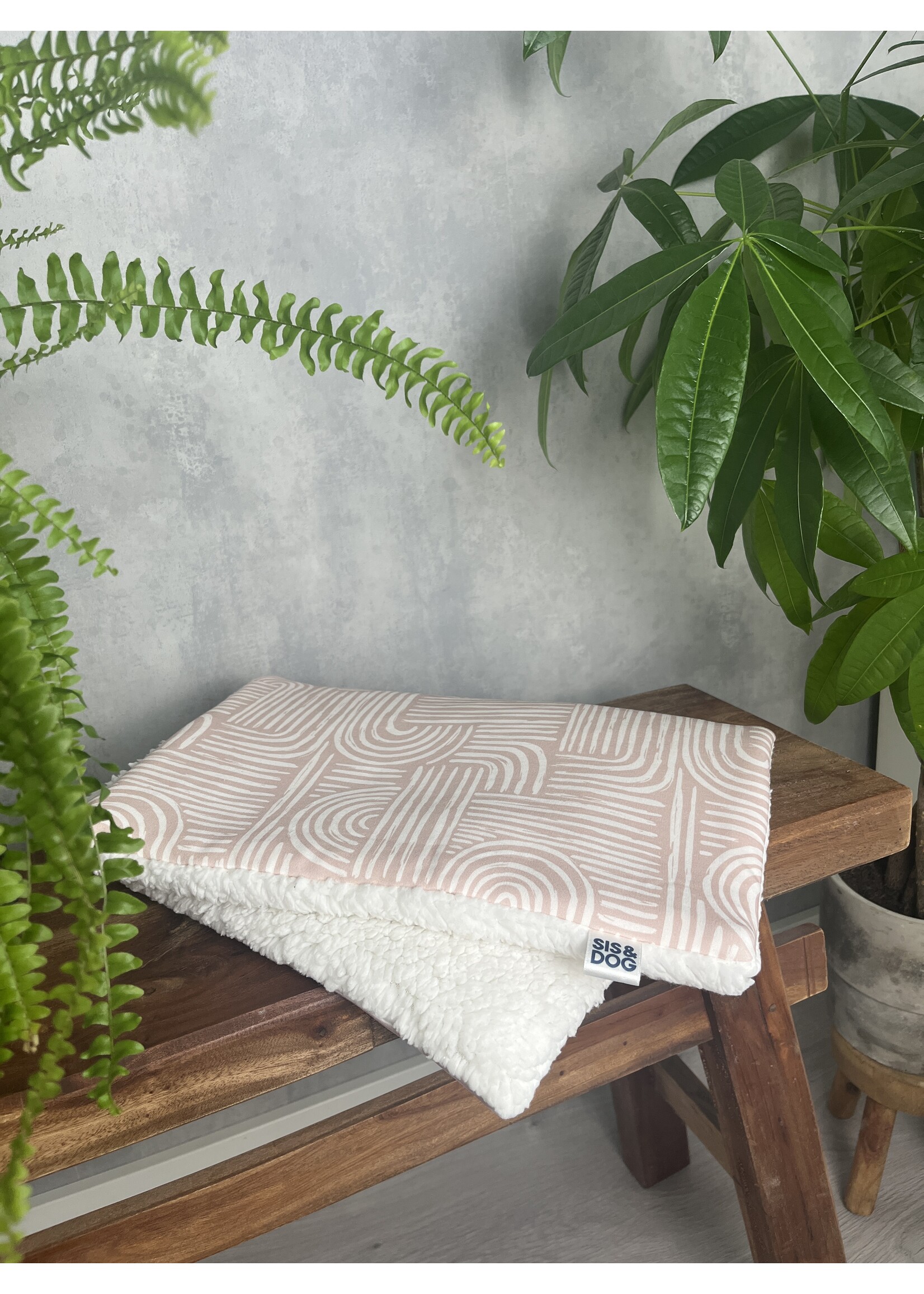 Desert dog bicycle basket pillow