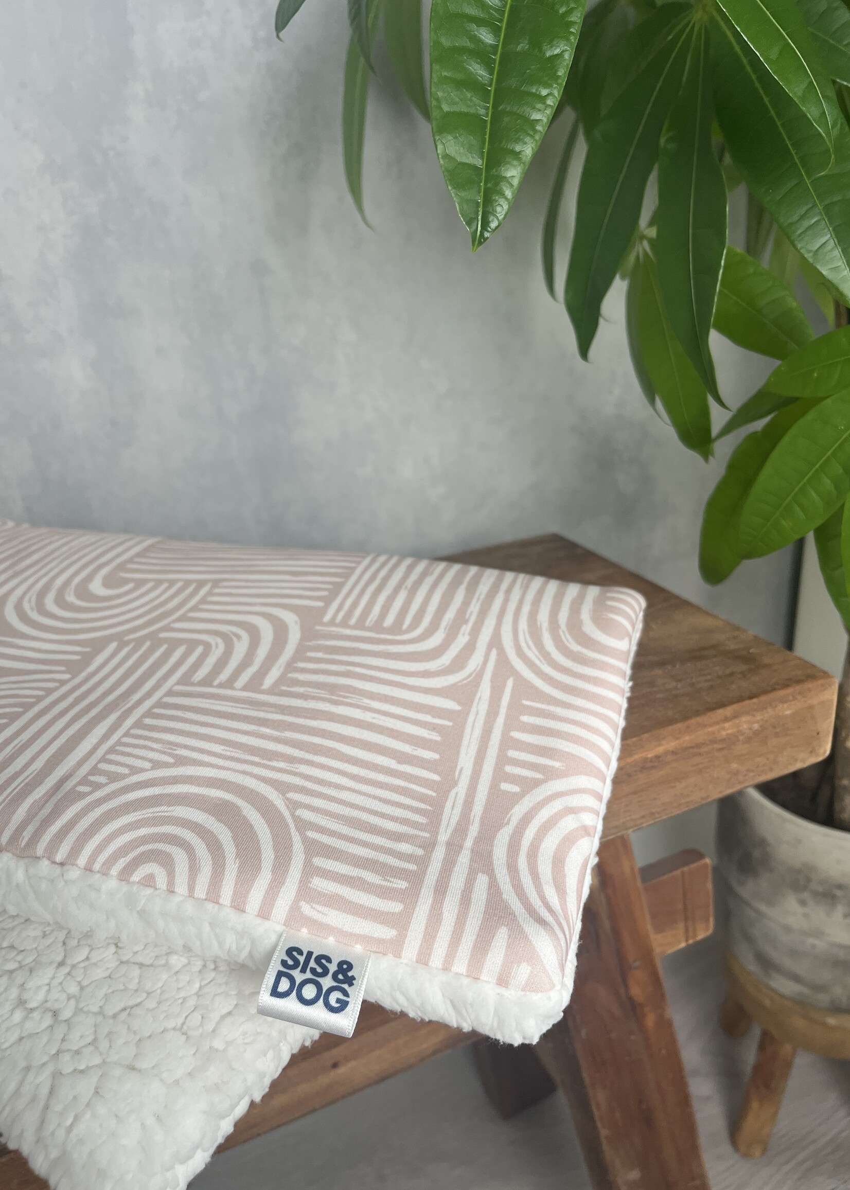 Desert dog bicycle basket pillow