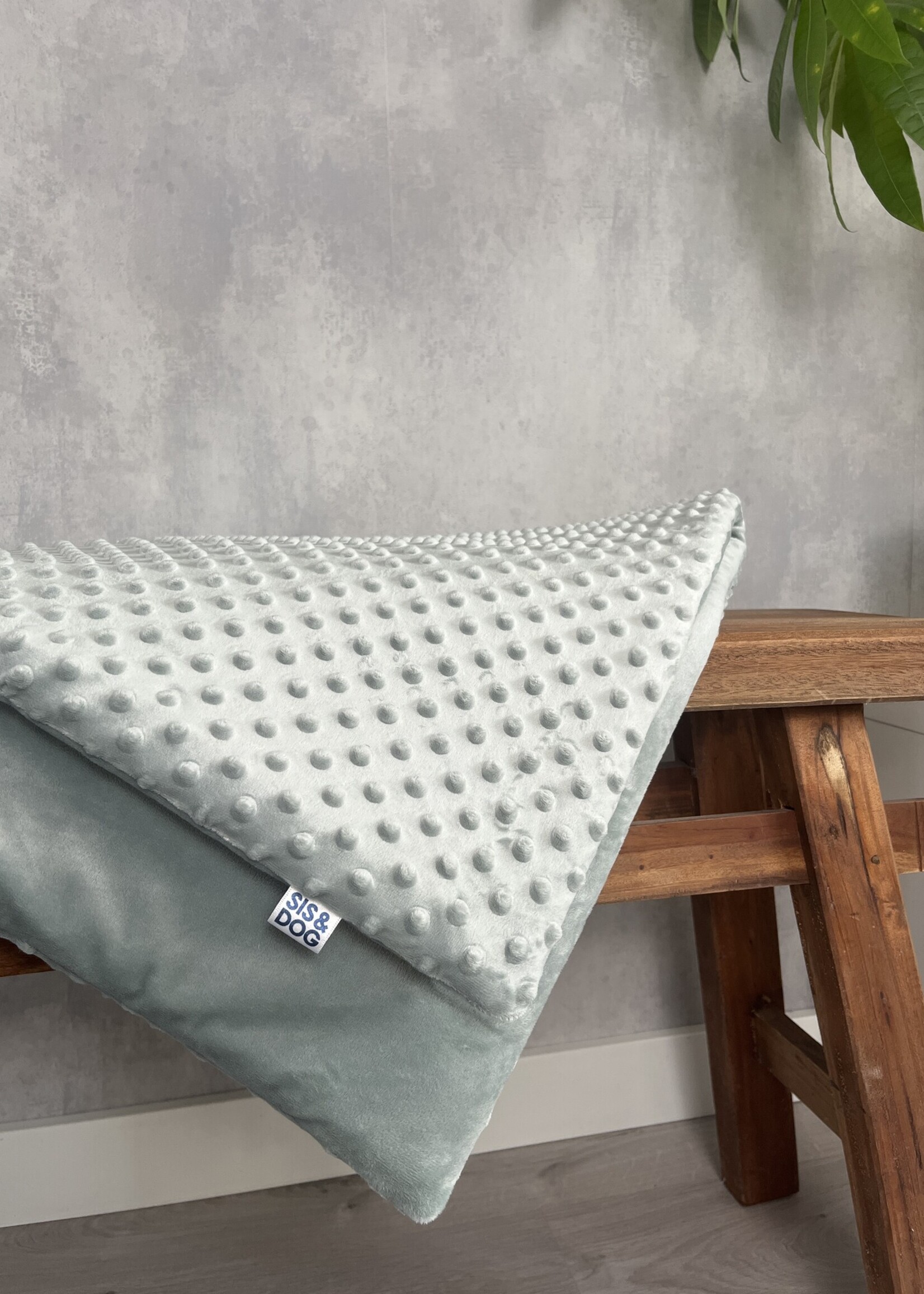 Smooth mint dog sofablanket
