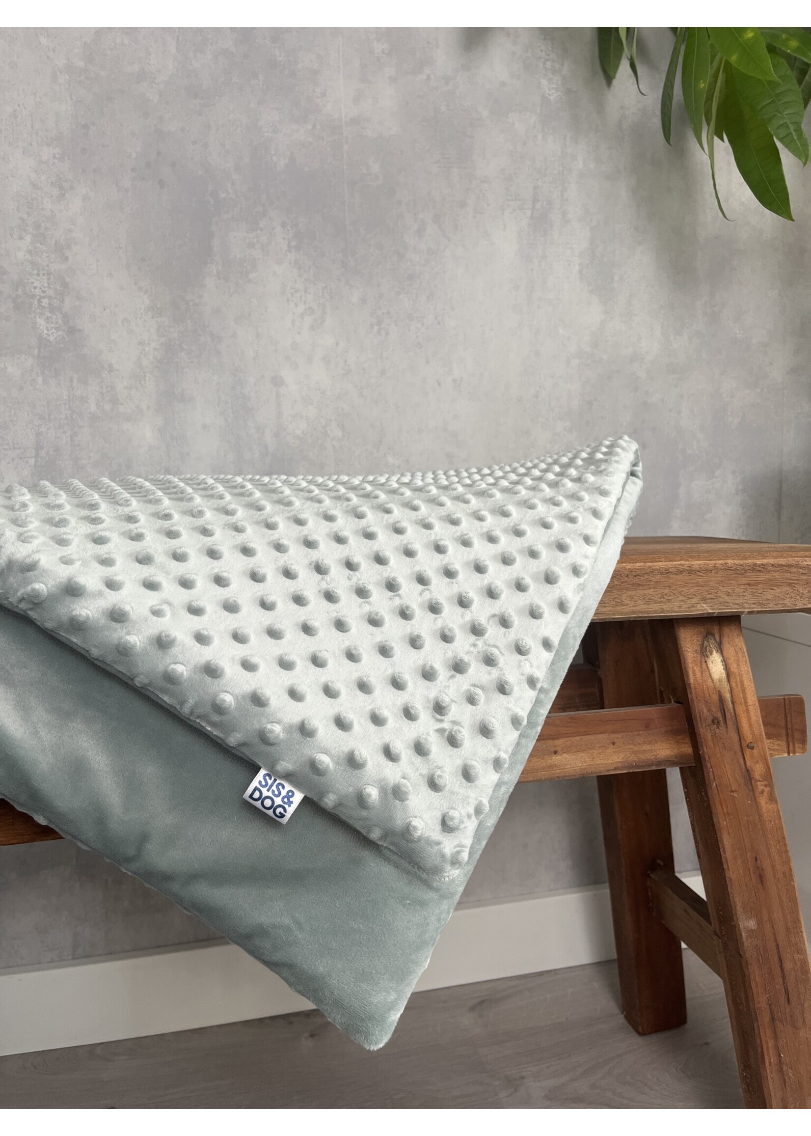 Smooth mint dog sofablanket