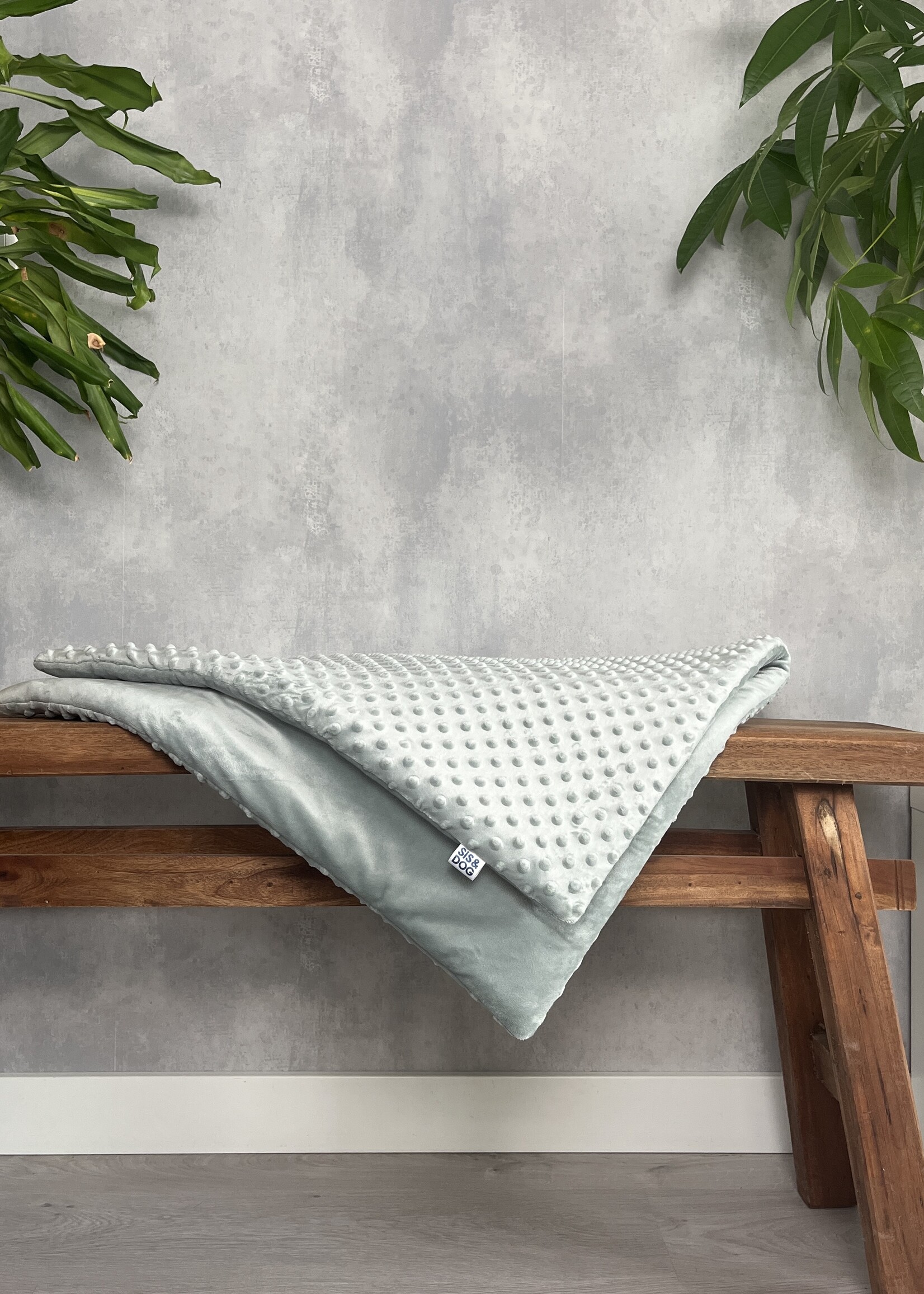 Smooth mint dog sofablanket