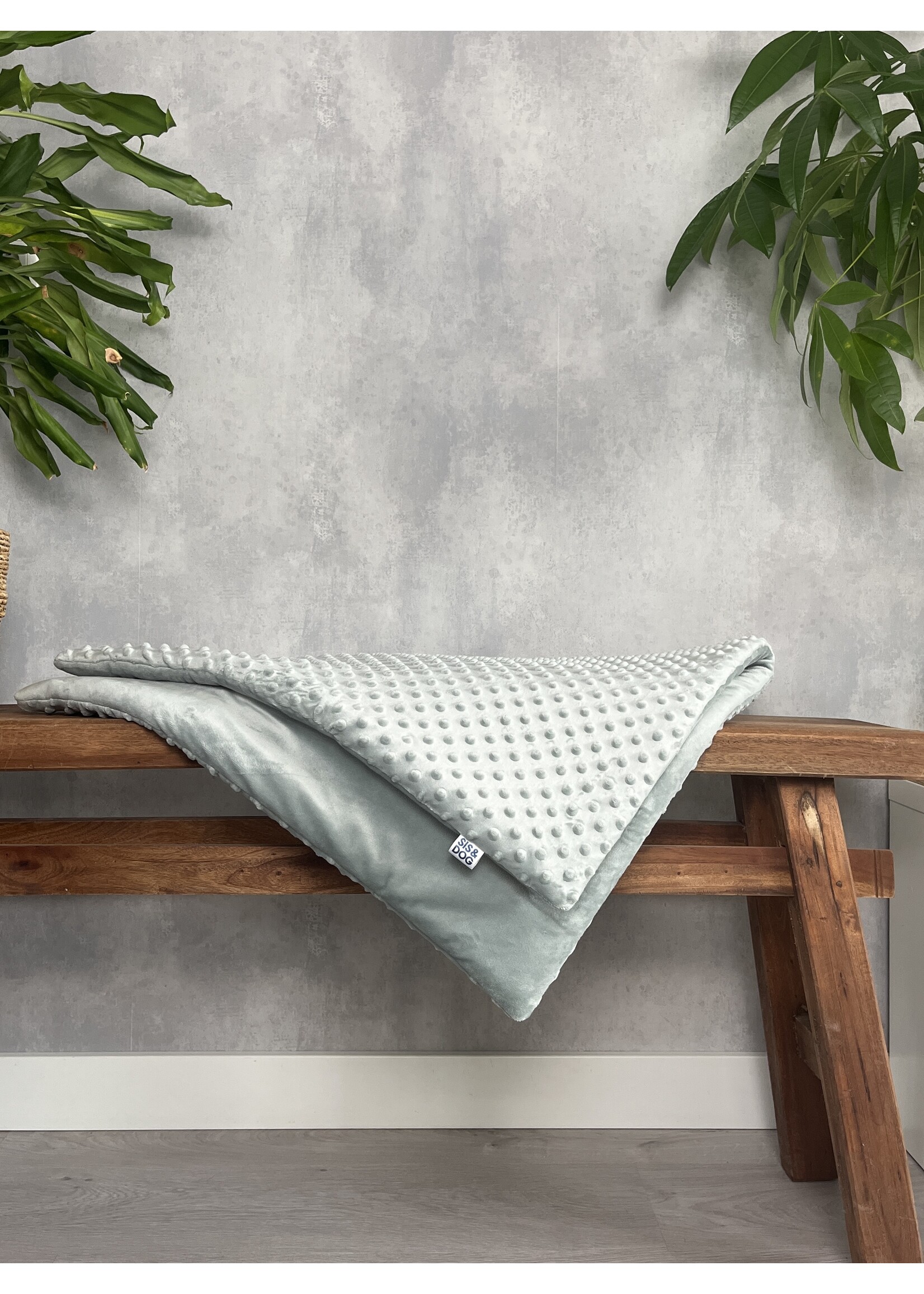 Smooth mint dog sofablanket