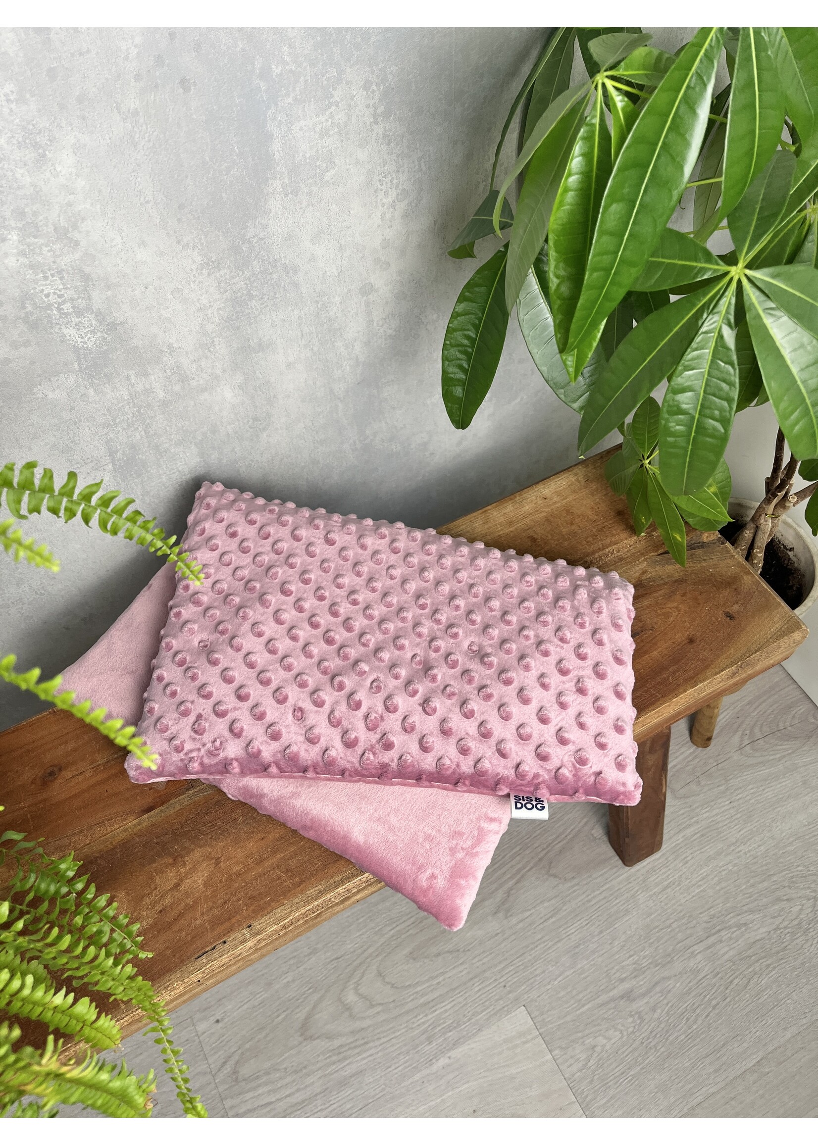 Dog bicycle blanket Creamy Pink