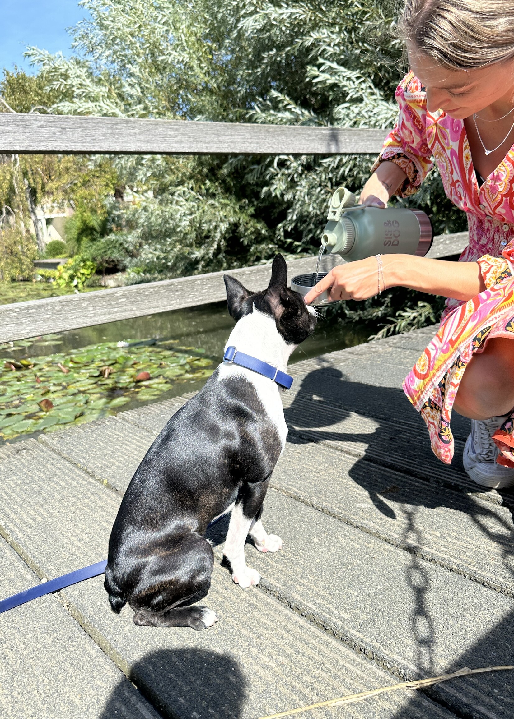 Waterfles Powder Mint