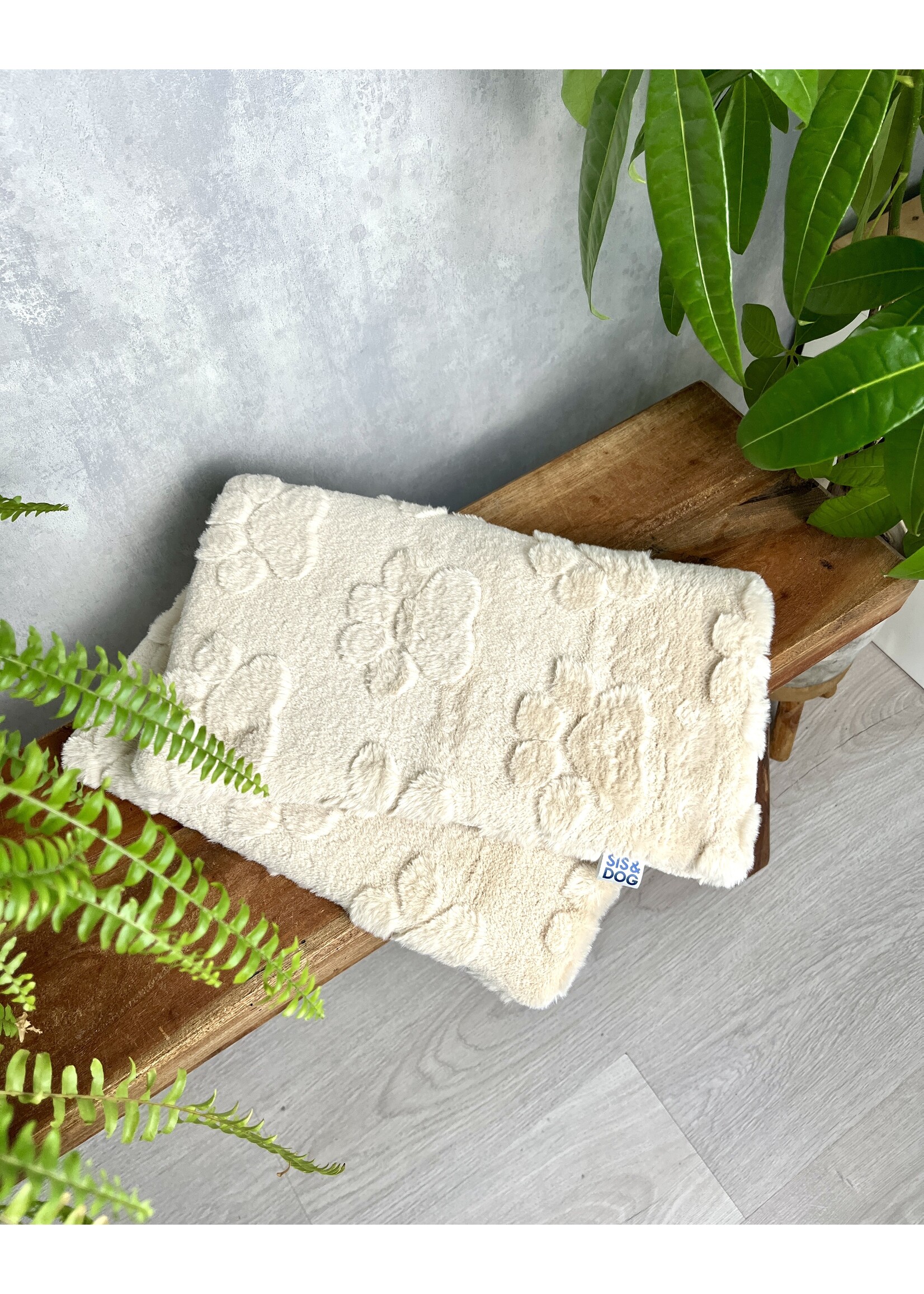 Paws up dog bicycle basket blanket