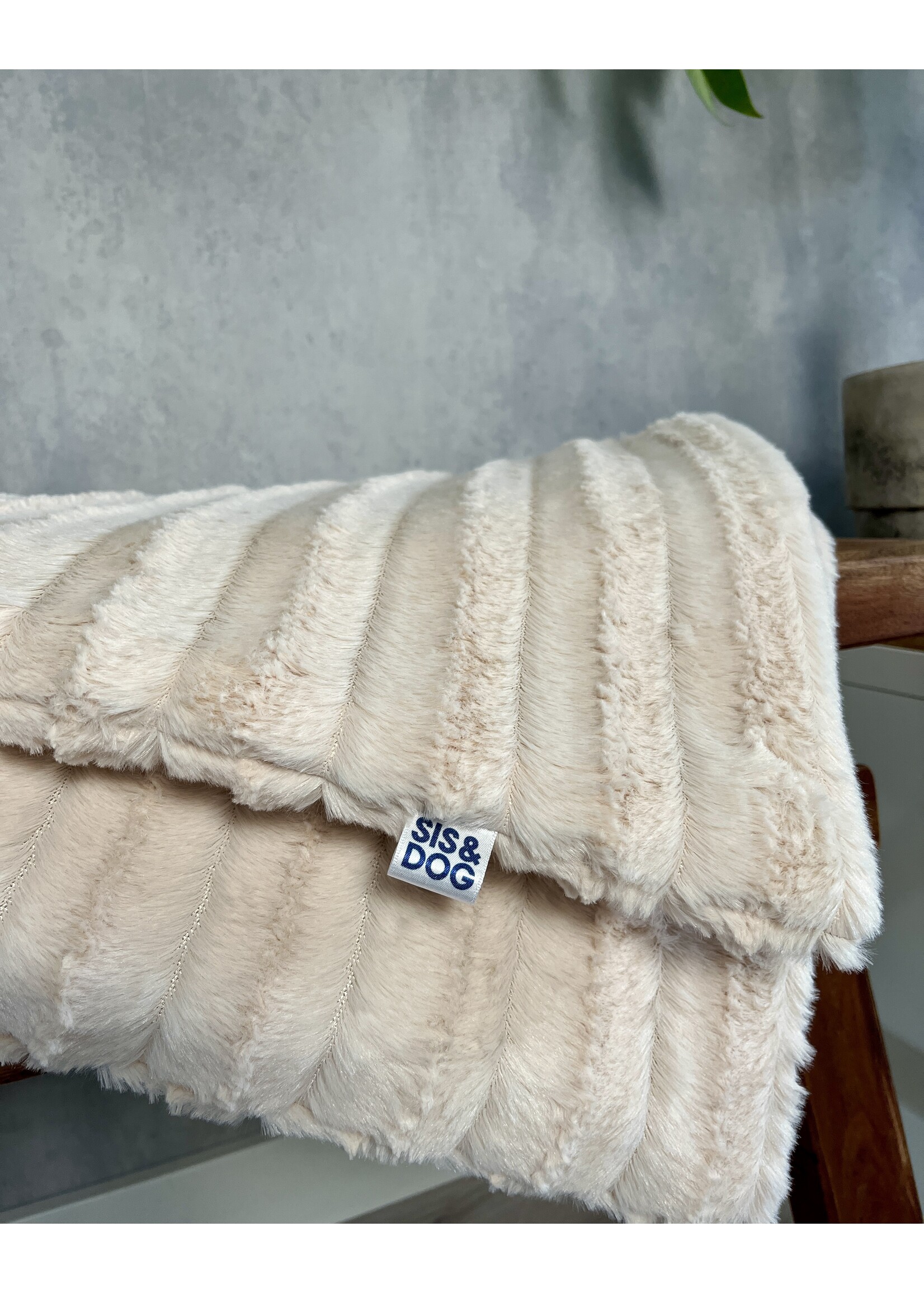 Pearl dog blanket