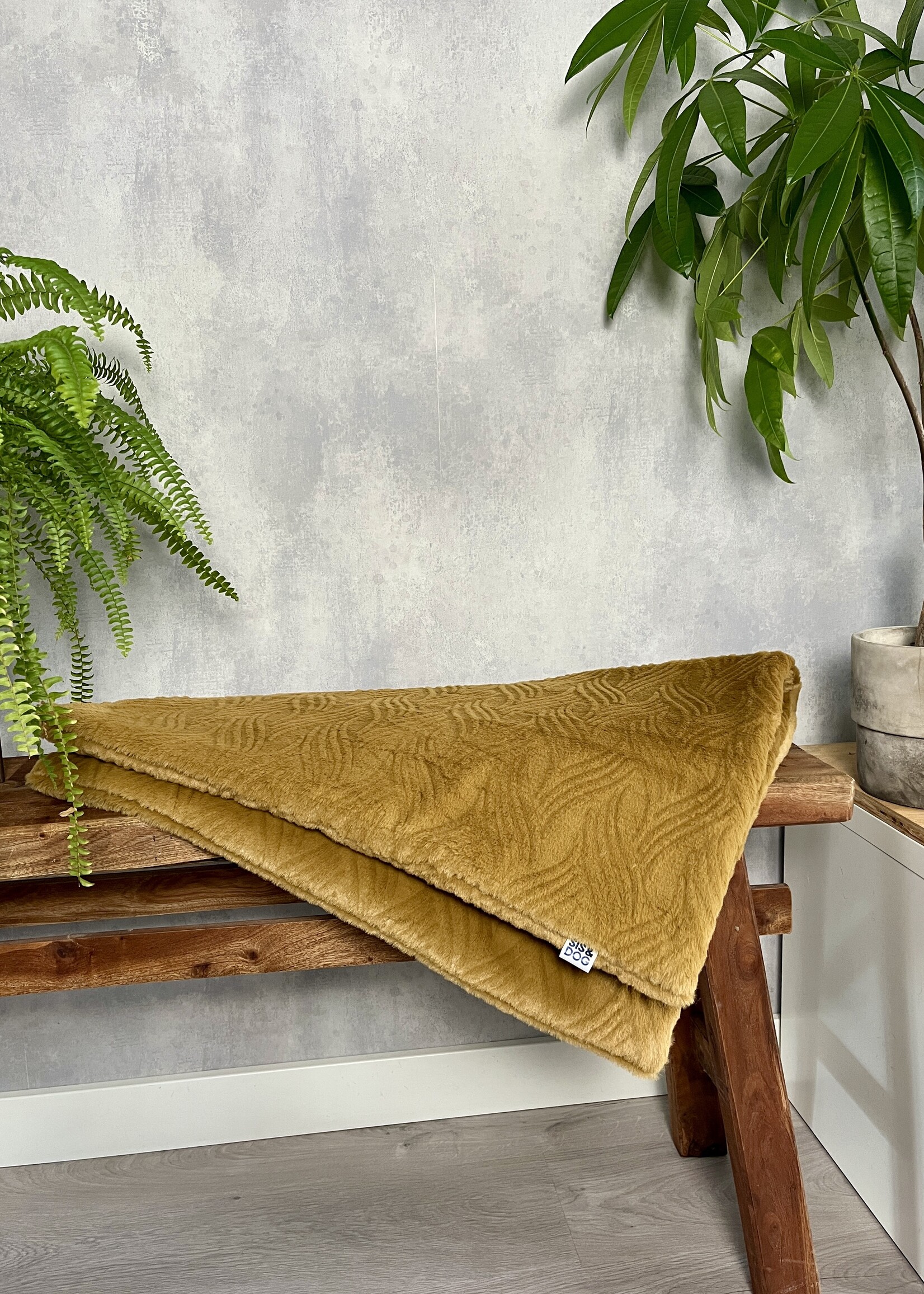 Saffron dog blanket