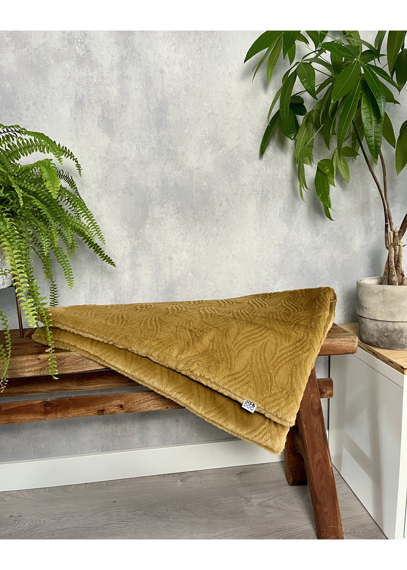 Saffron dog blanket
