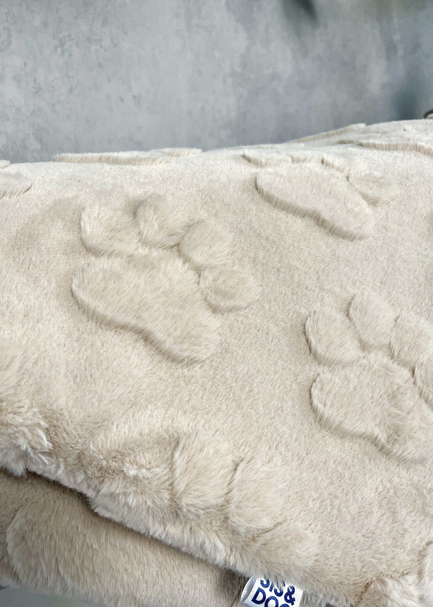 Paw's up dog blanket