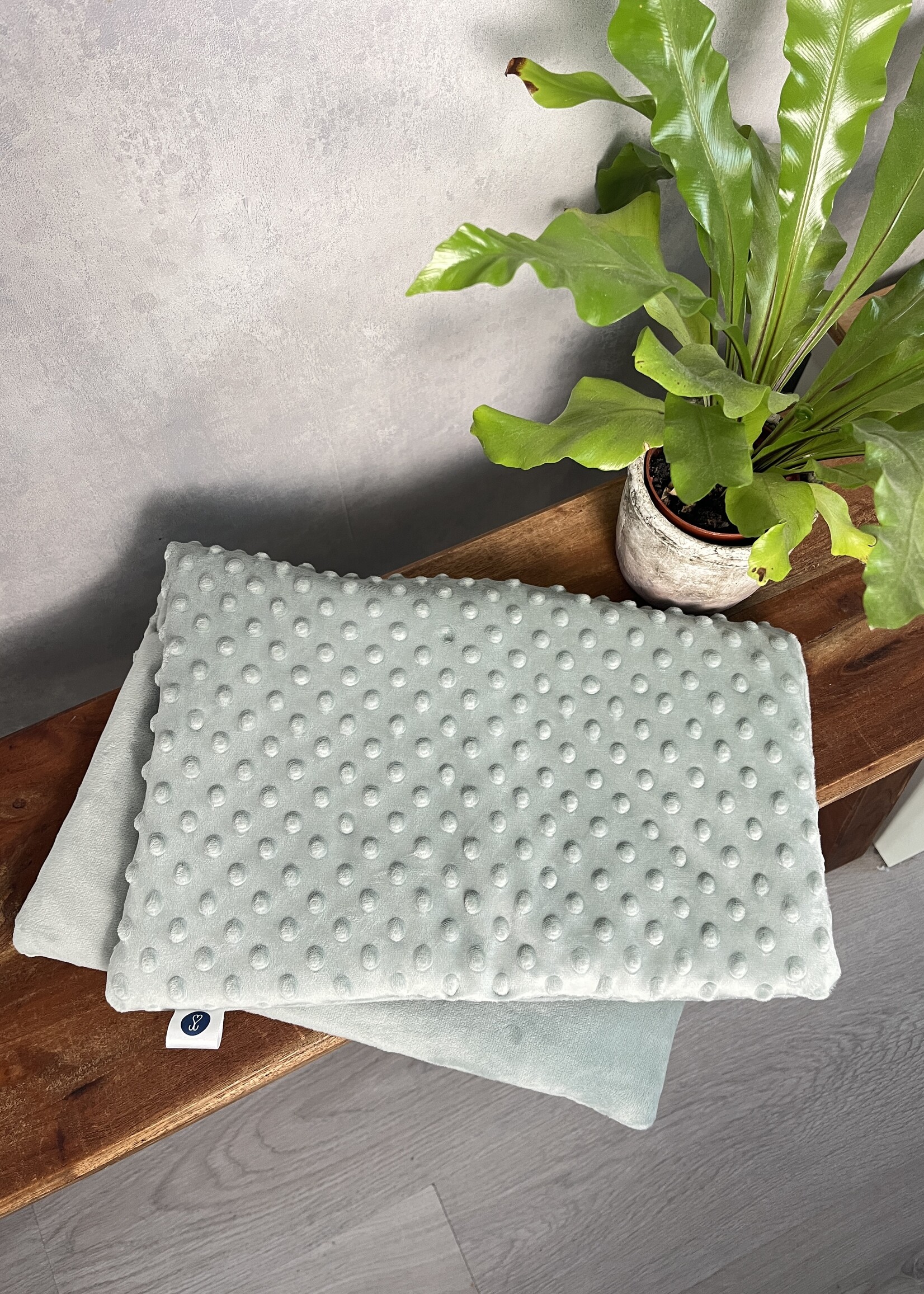 Dog bicycle blanket Mint