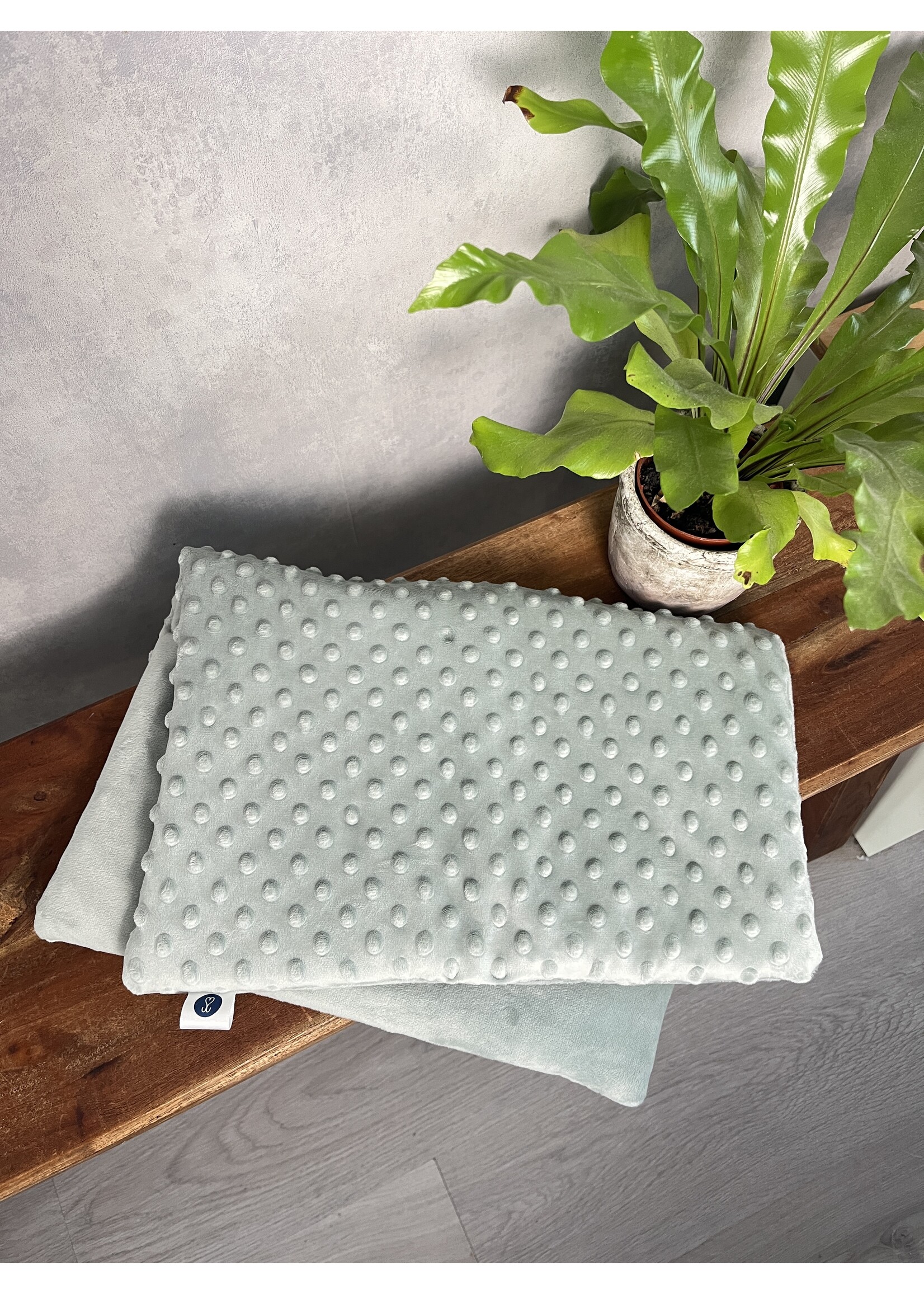 Dog bicycle blanket Mint