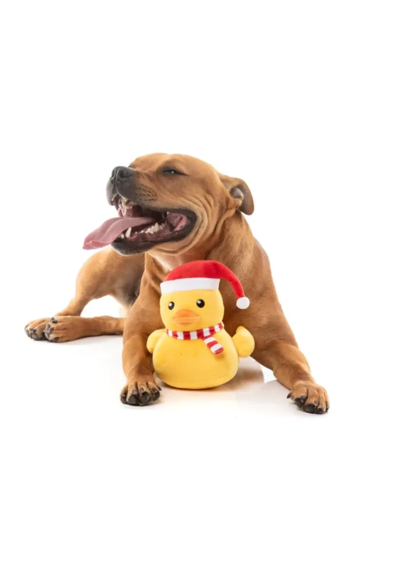 Festive Waddles Eend