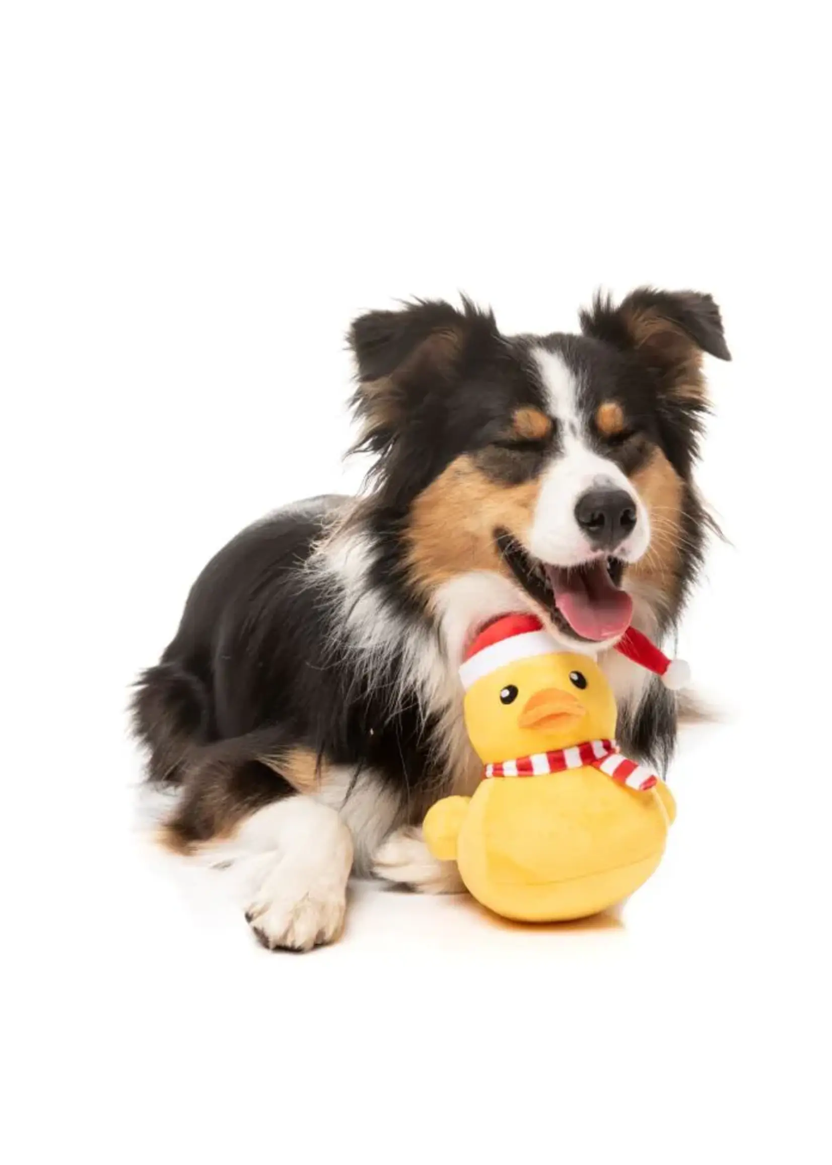 Festive Waddles Duck