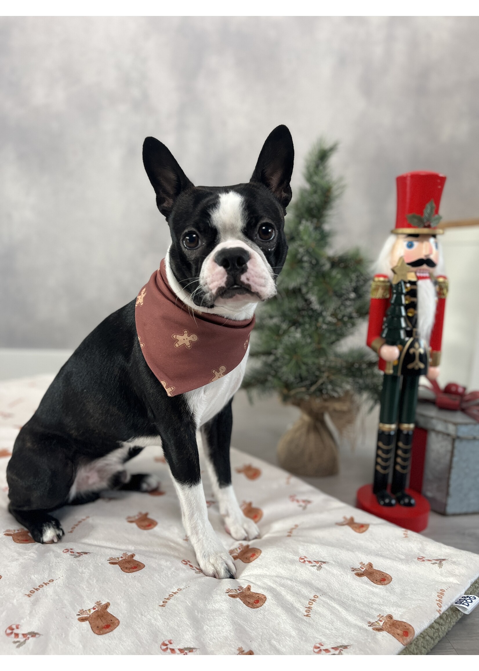 Gingerman Christmas Bandana