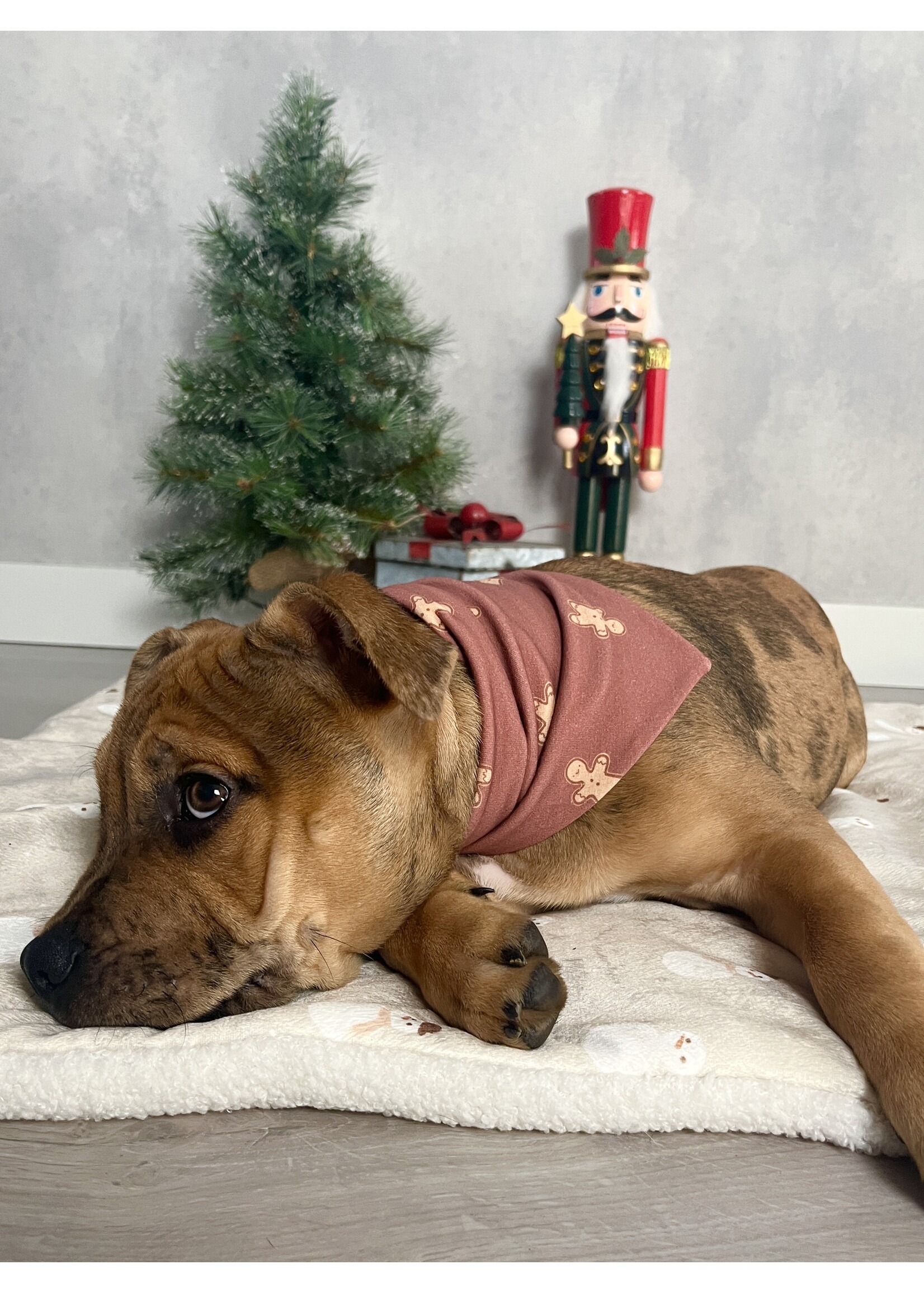 Snowman honden bankkleed