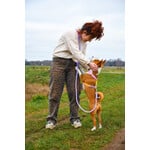 Harnesses + Matching leashes