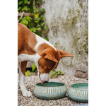 Foodbowls + Treat jars