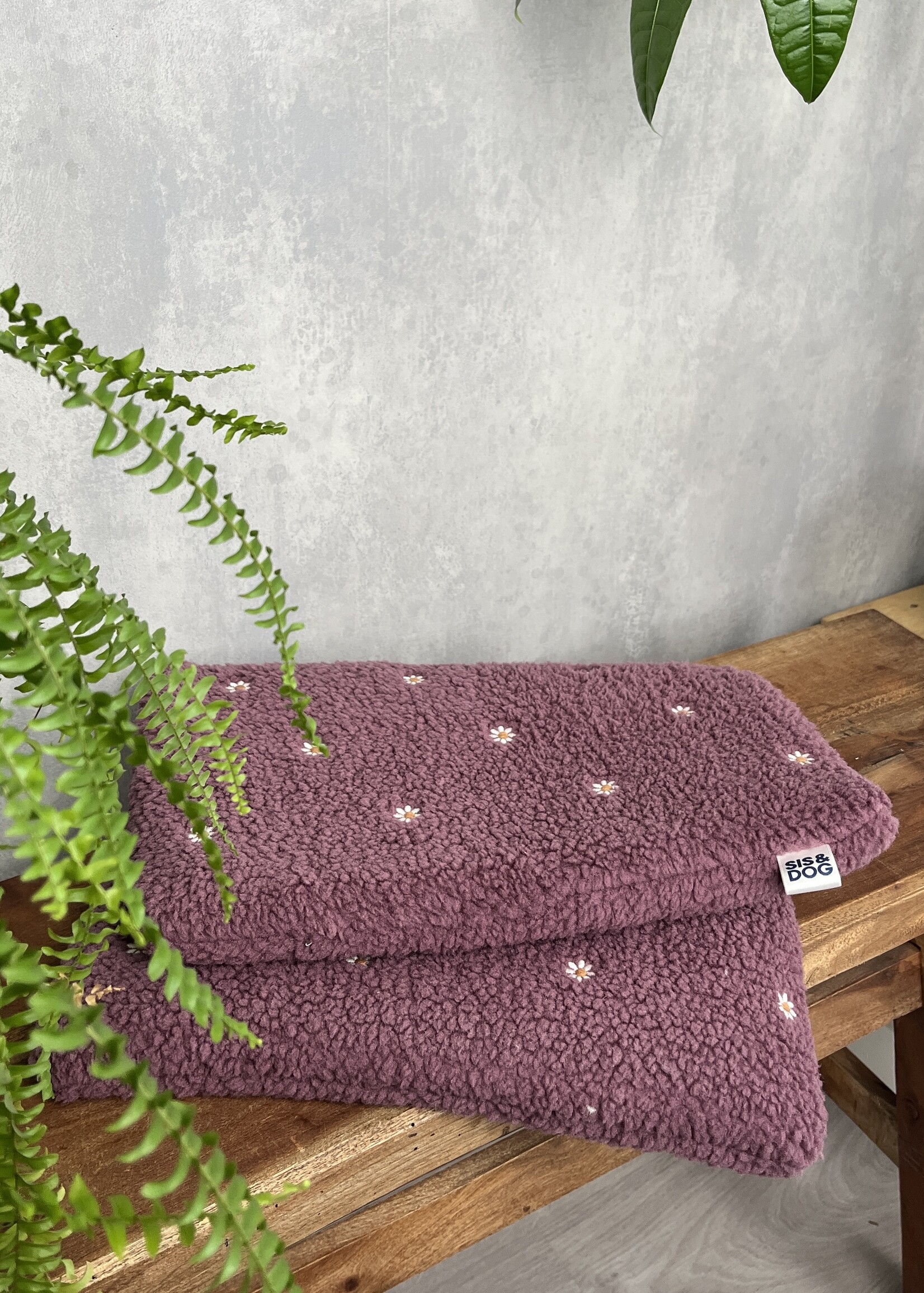 Daisy Dog bicycle basket pillow