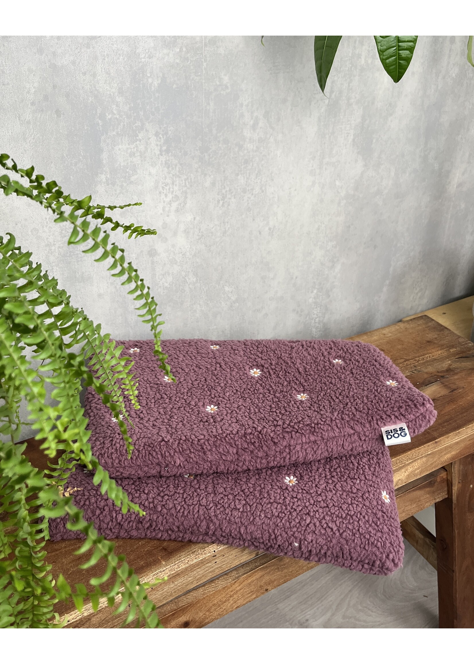 Daisy Dog bicycle basket pillow