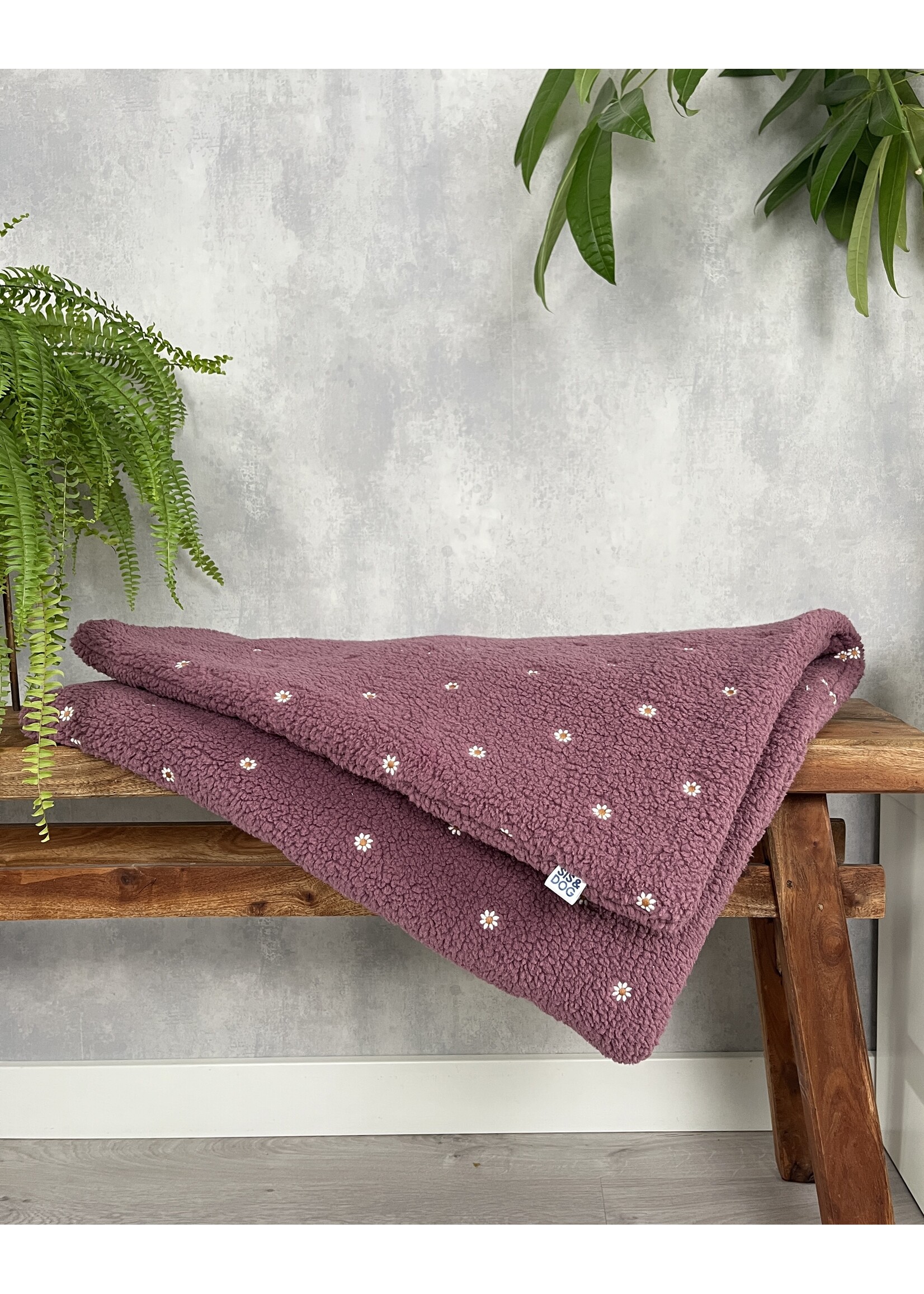 Daisy dog blanket