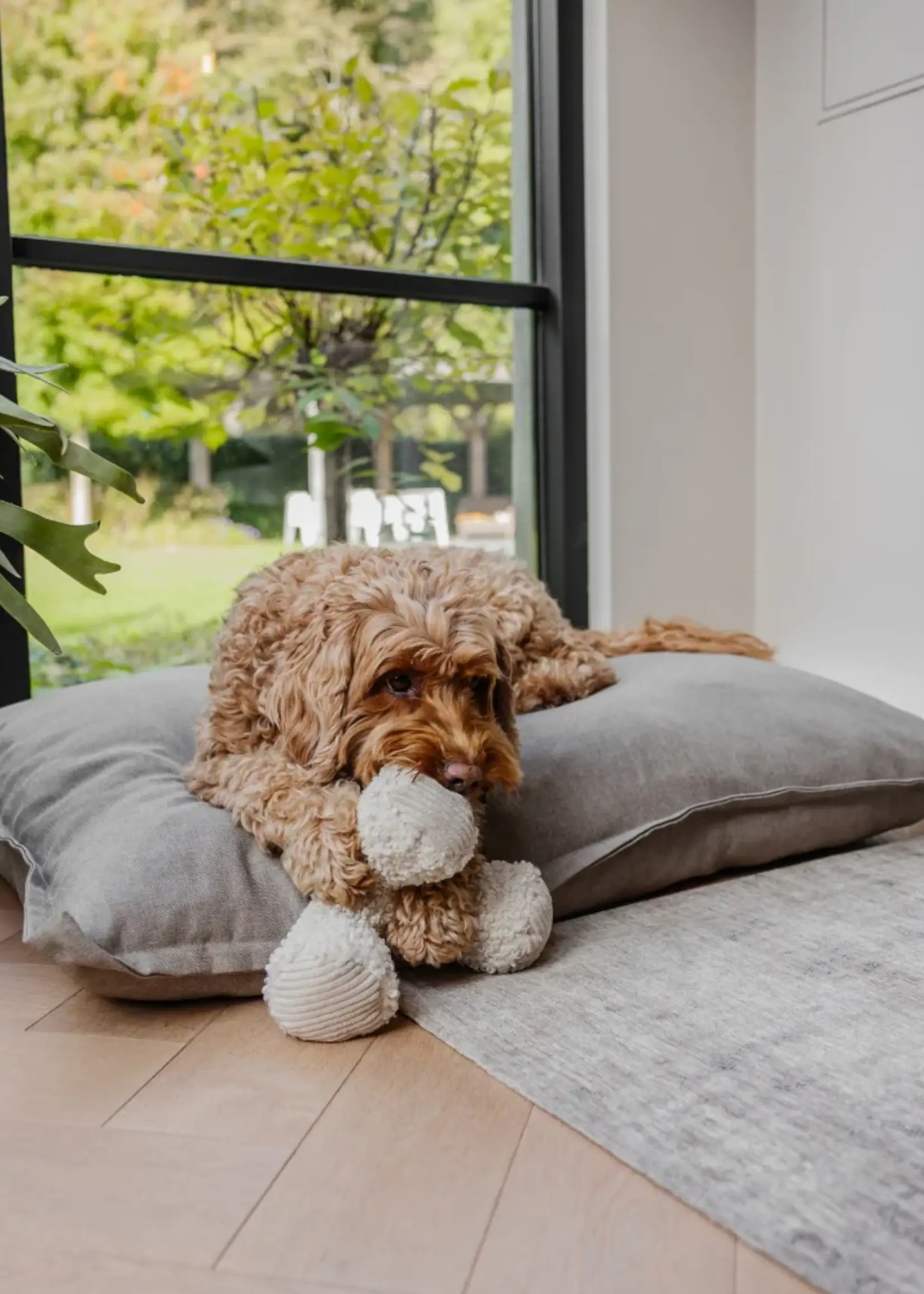 Ziggy Plush Merengue