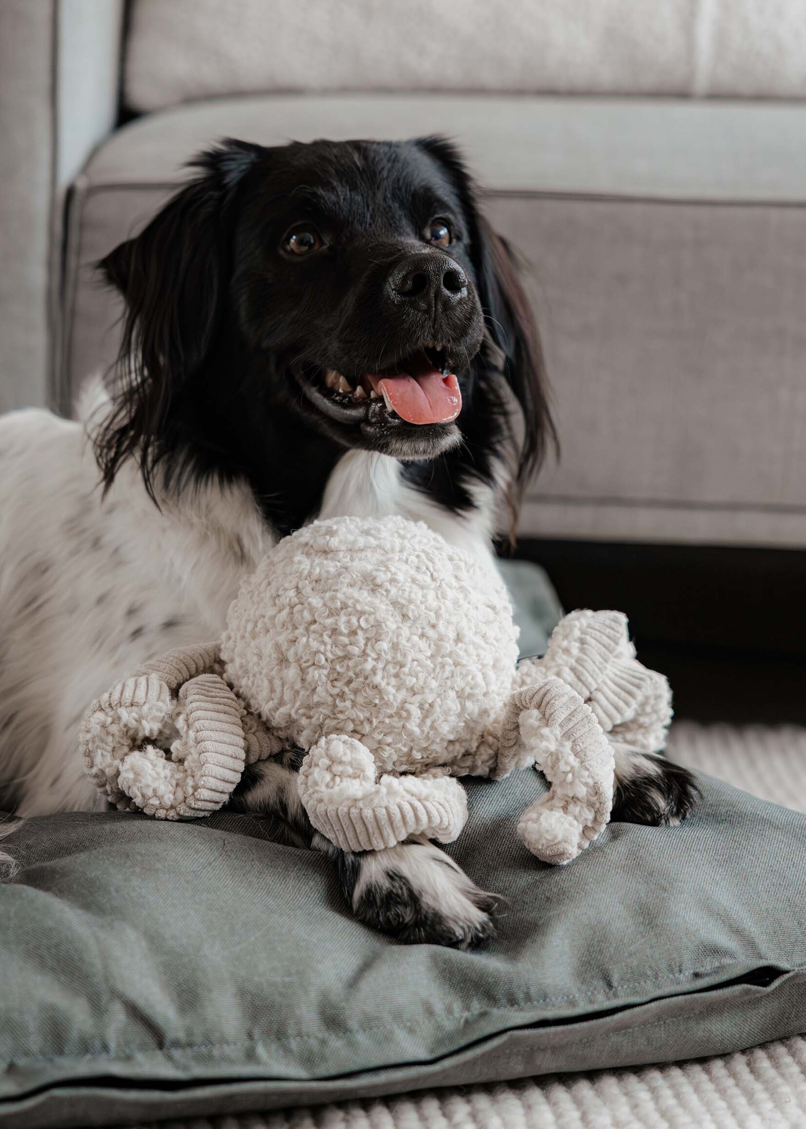 Squid Plush Merengue