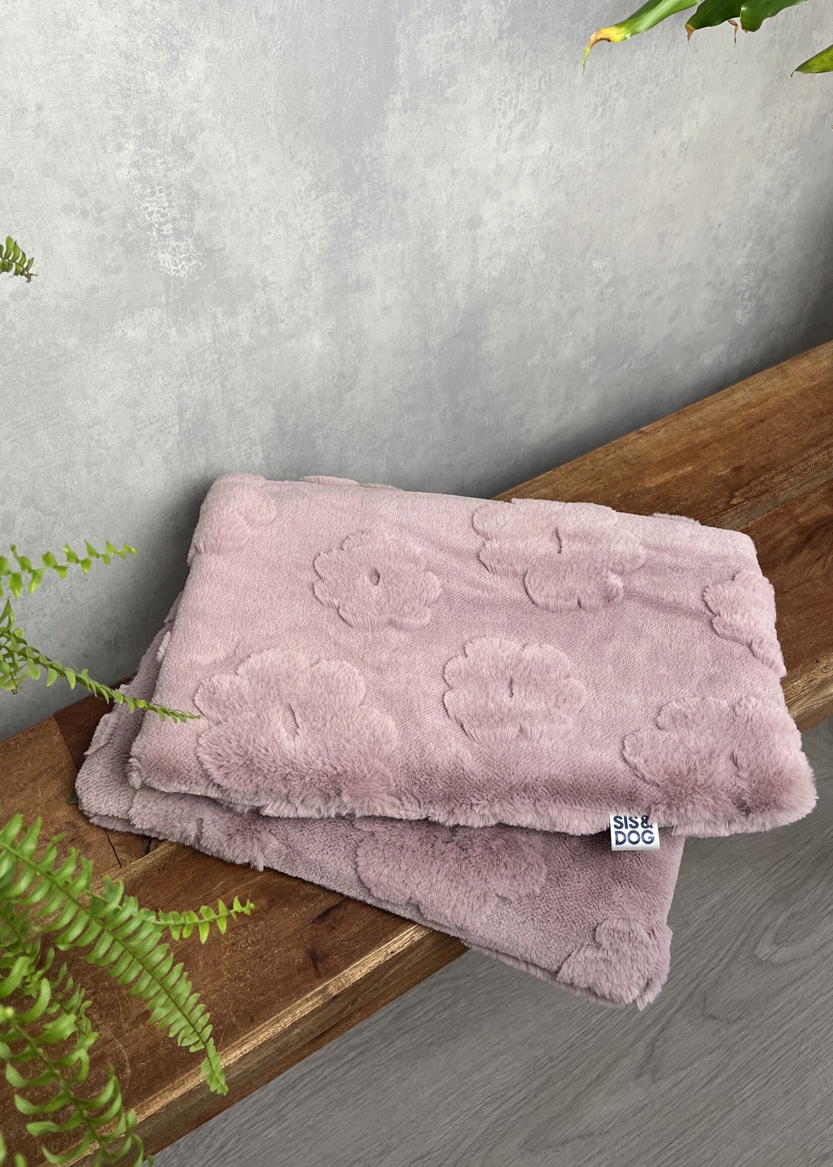 Bloom dog bicycle blanket