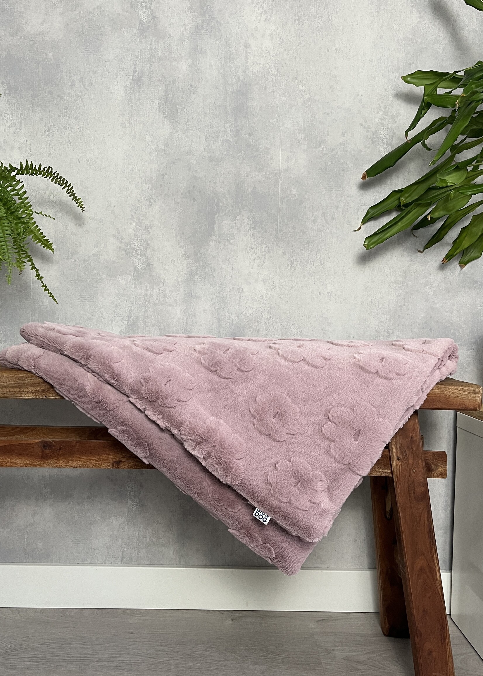 Bloom dog blanket